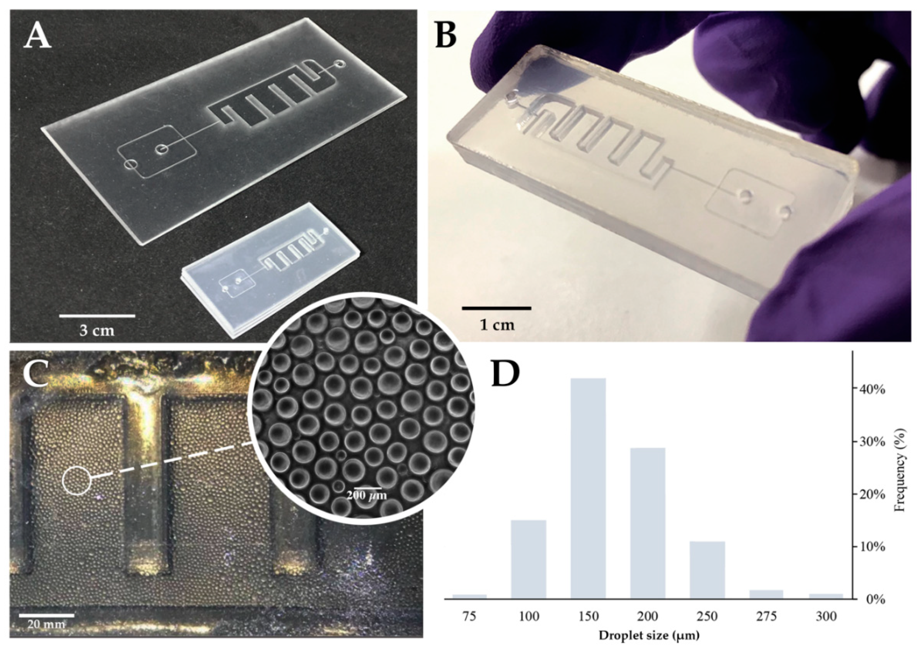 Sensors 20 01624 g002 Sensors 20 01624 g002