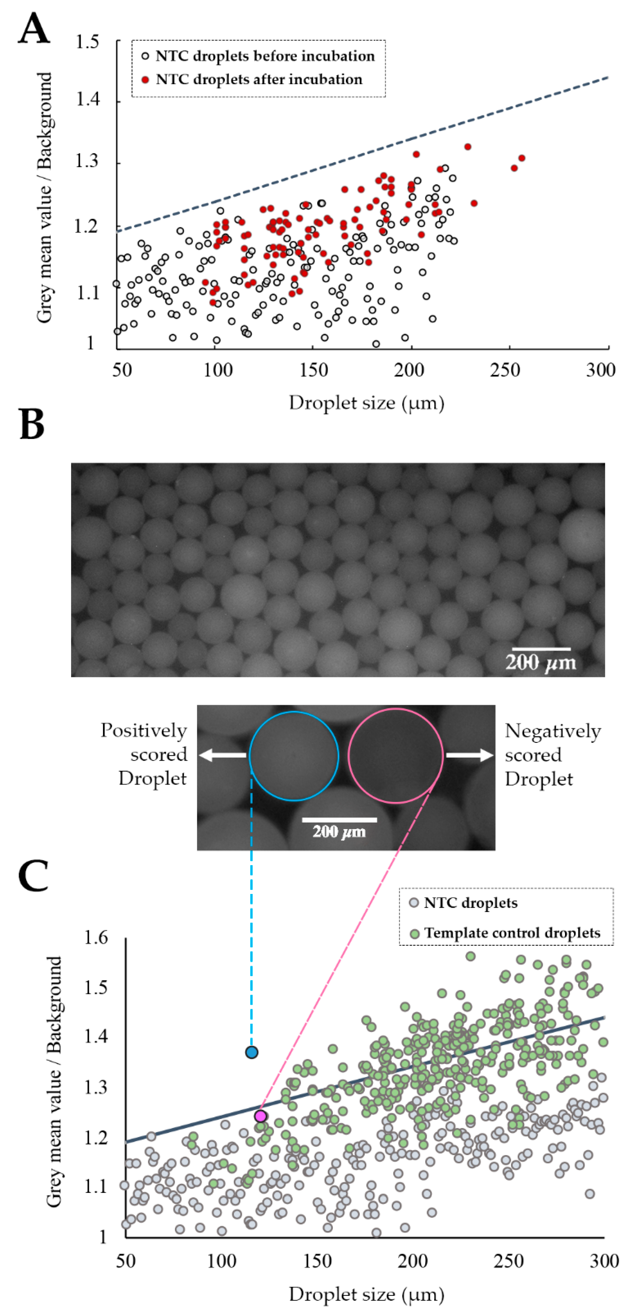 Sensors 20 01624 g003 Sensors 20 01624 g003