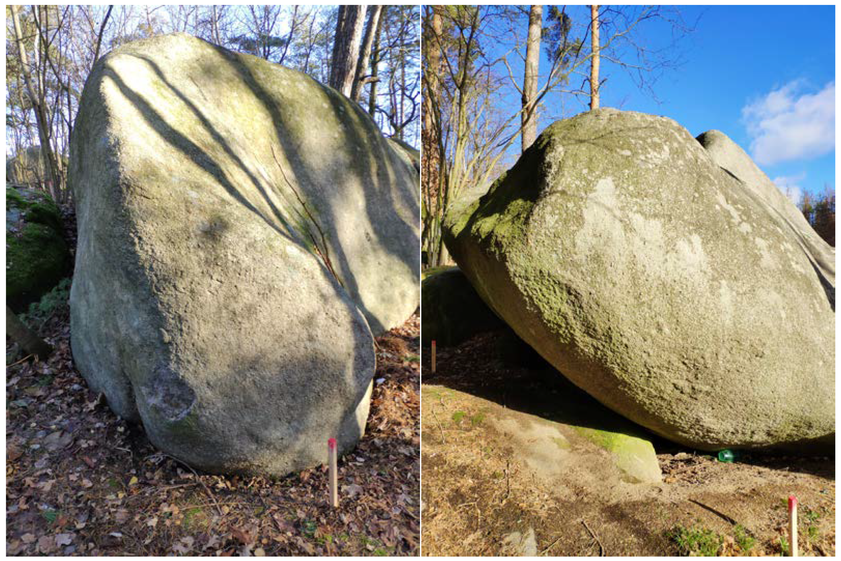 Sensors 20 01663 g003