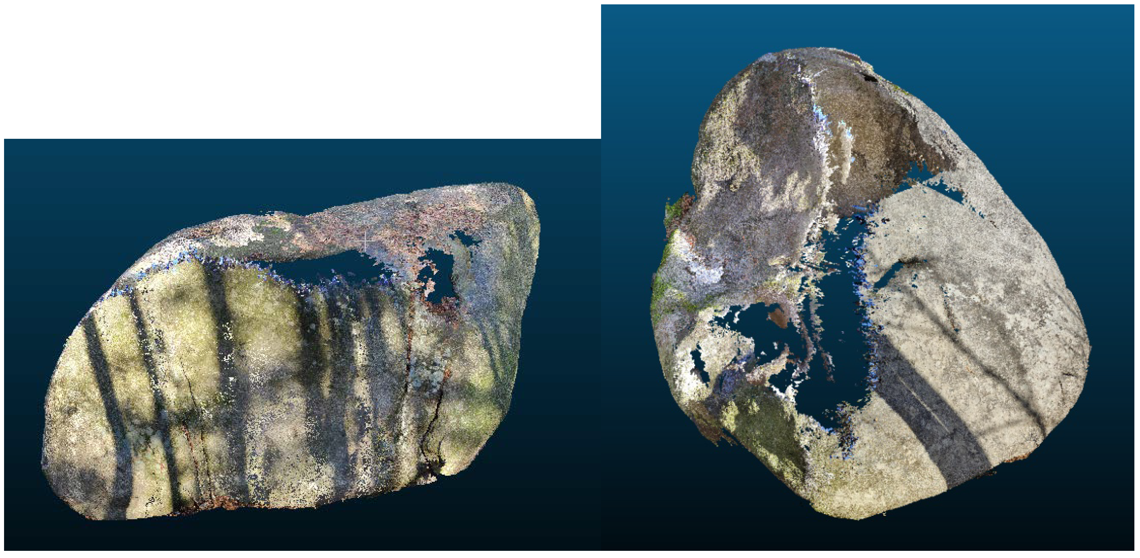 Sensors 20 01663 g006