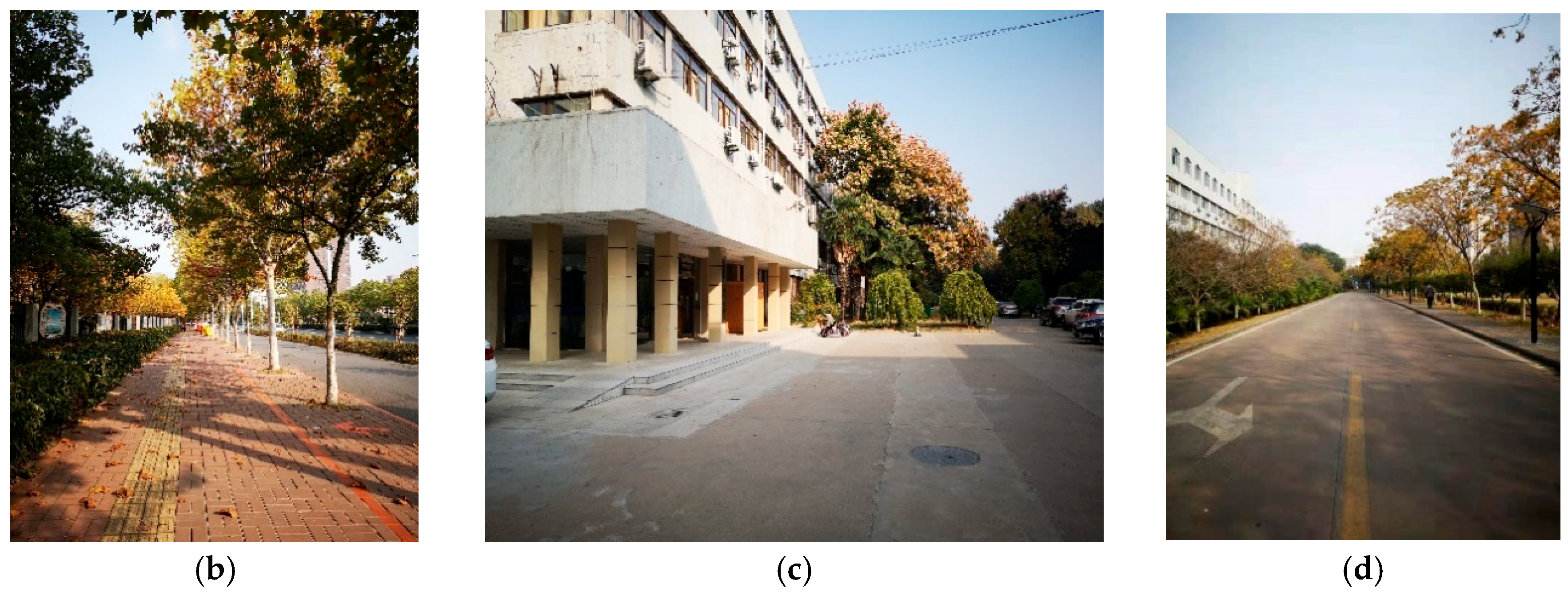 Sensors 20 01691 g011b