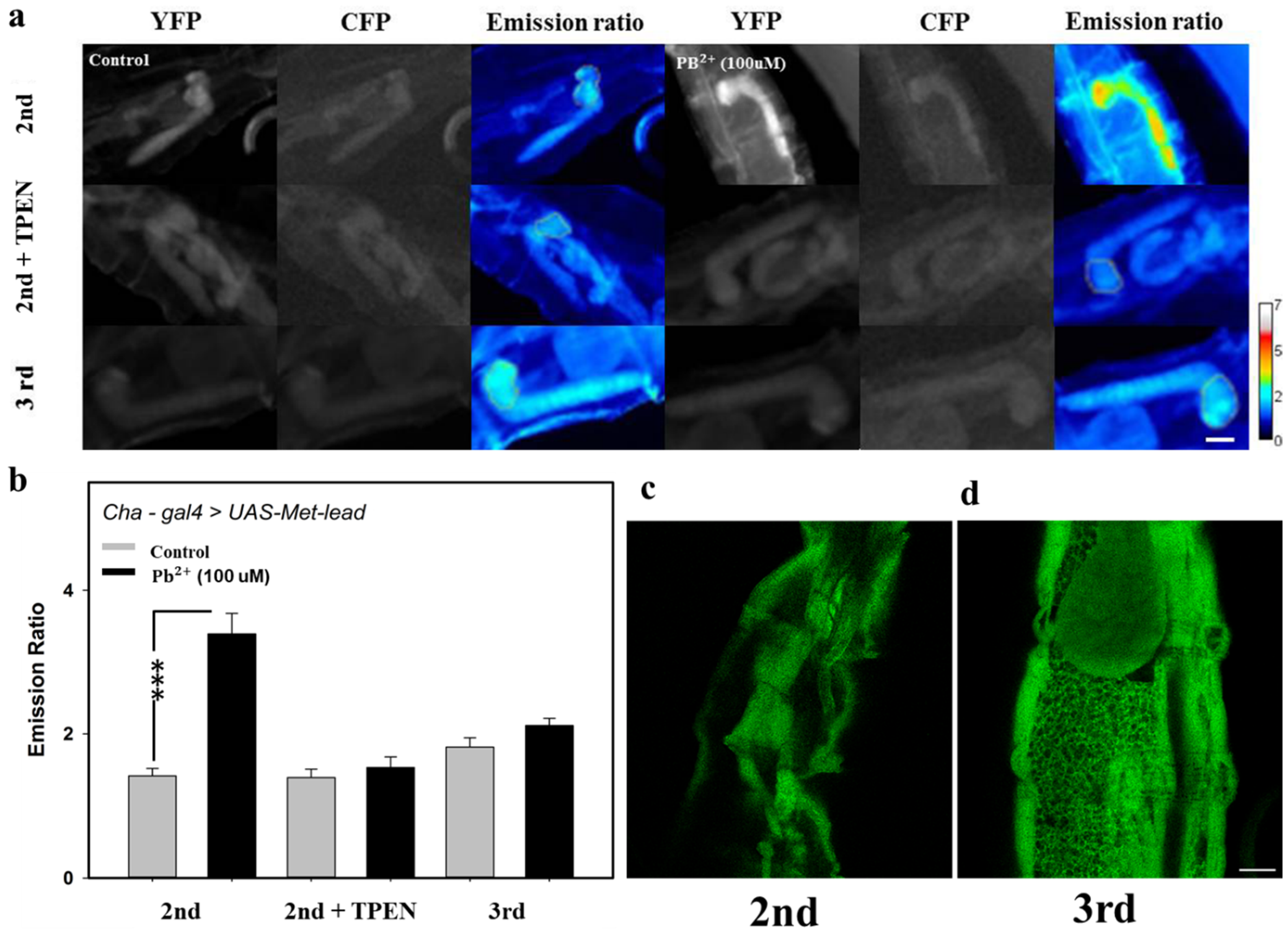 Sensors 20 01712 g006 Sensors 20 01712 g006