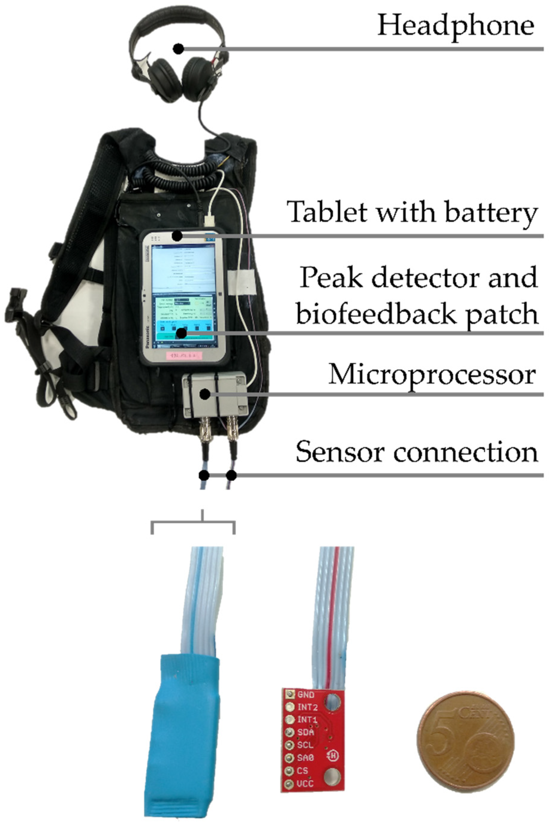 Sensors 20 01720 g001