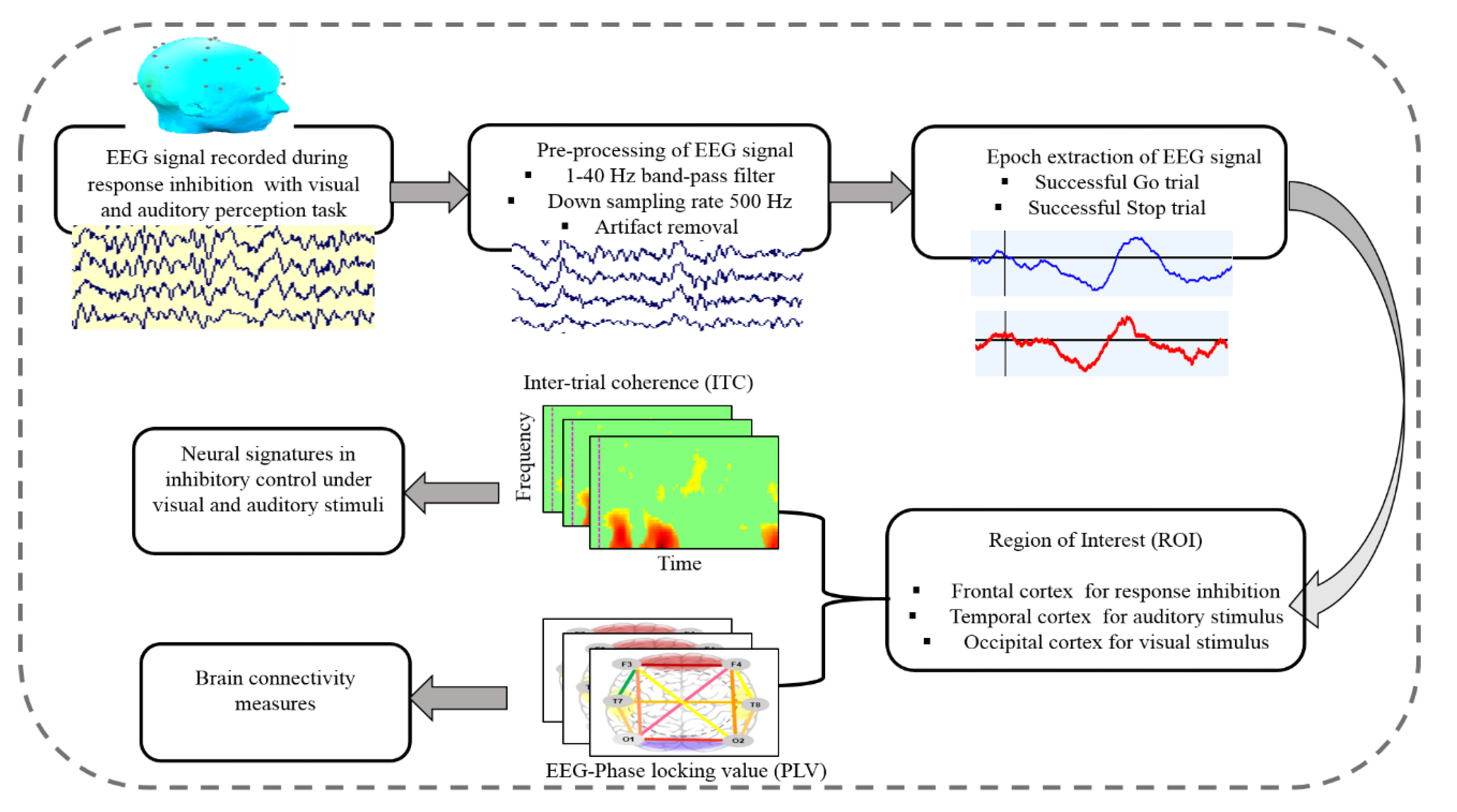 Sensors Free FullText Exploration of Brain Connectivity during