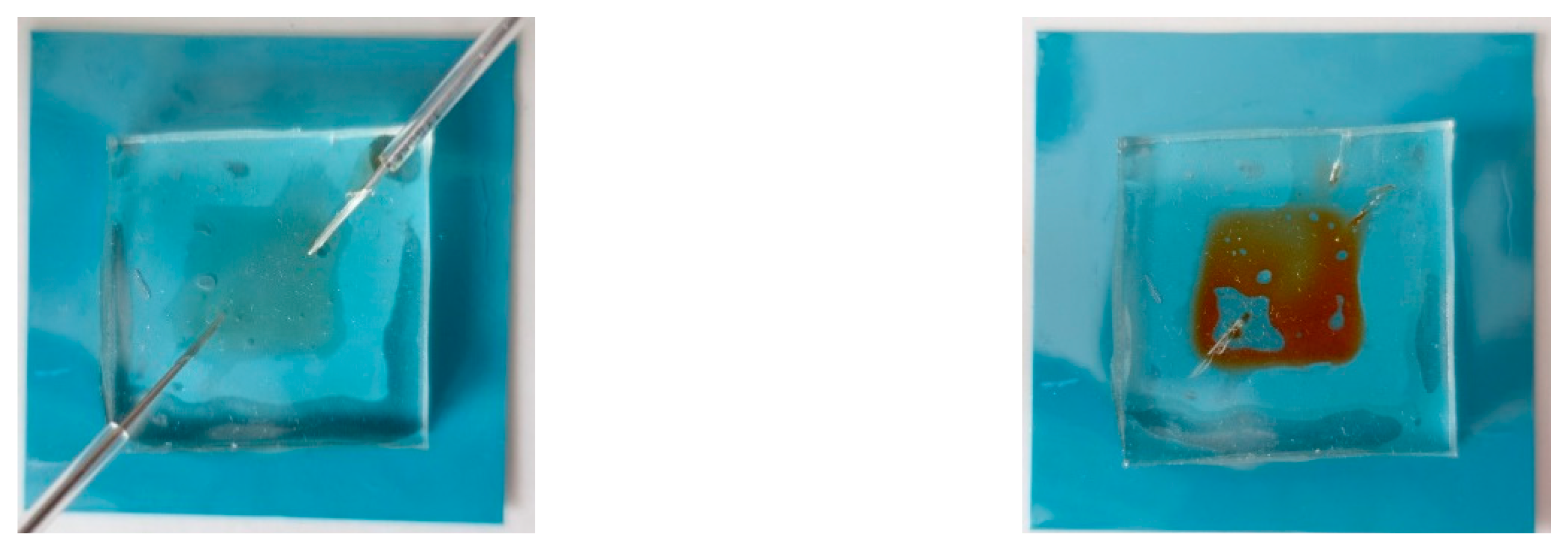 Sensors 20 01745 g007 550