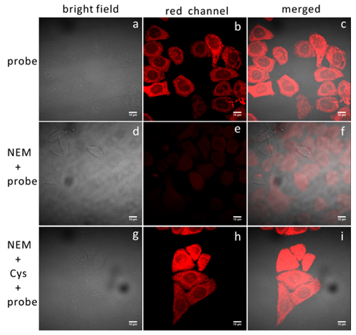 Sensors 20 01746 g006