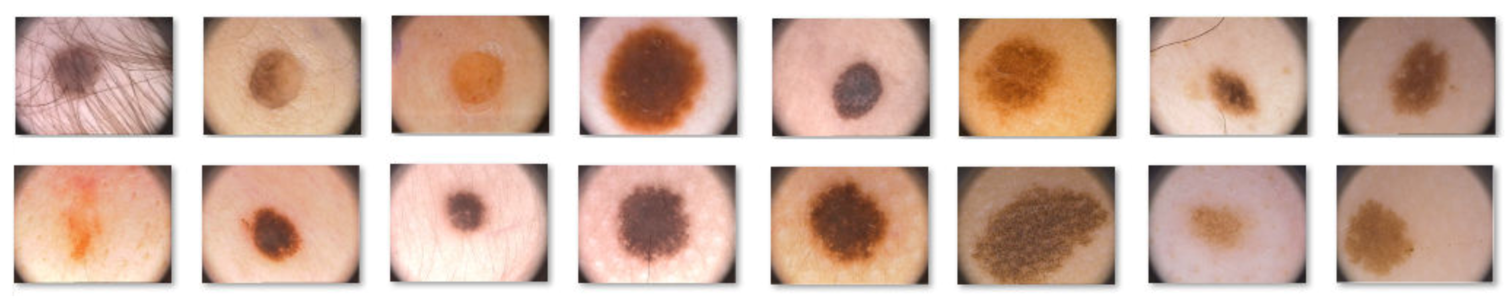 Sensors 20 01753 g001