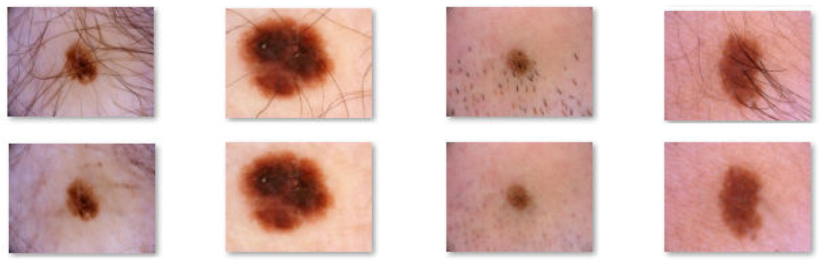 Sensors 20 01753 g003