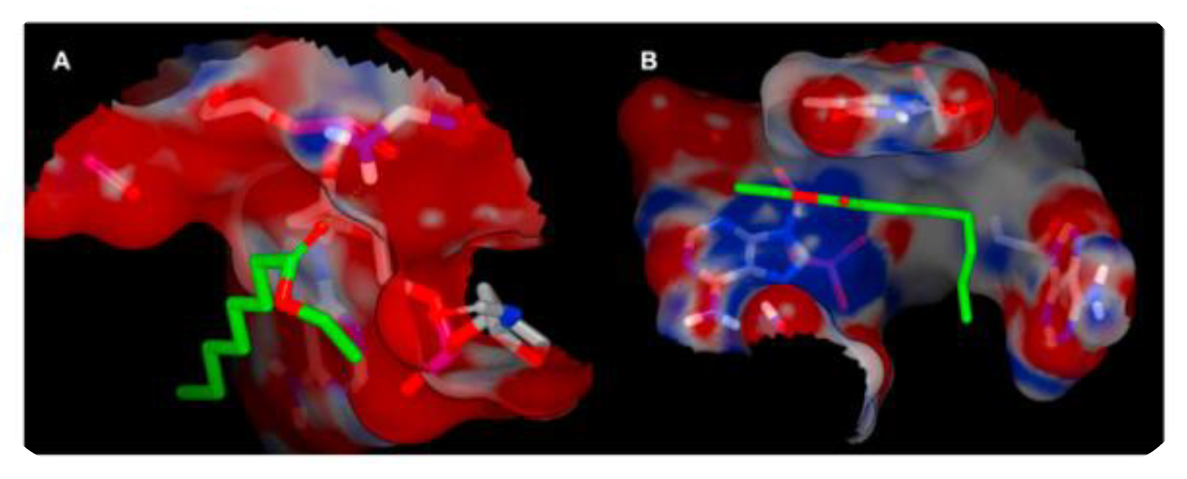 Sensors 20 01803 g006 Sensors 20 01803 g006