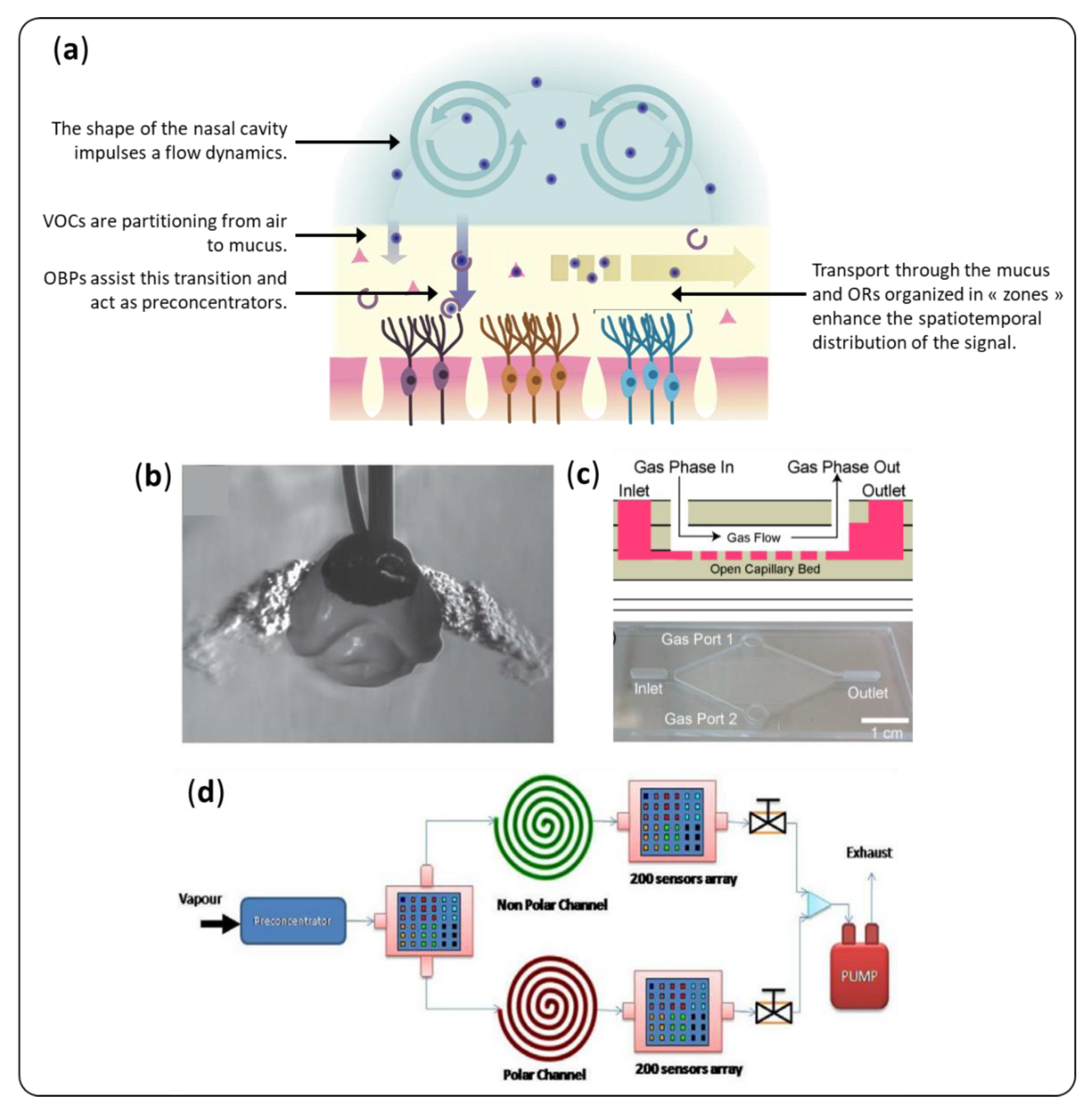 Sensors 20 01803 g008 Sensors 20 01803 g008