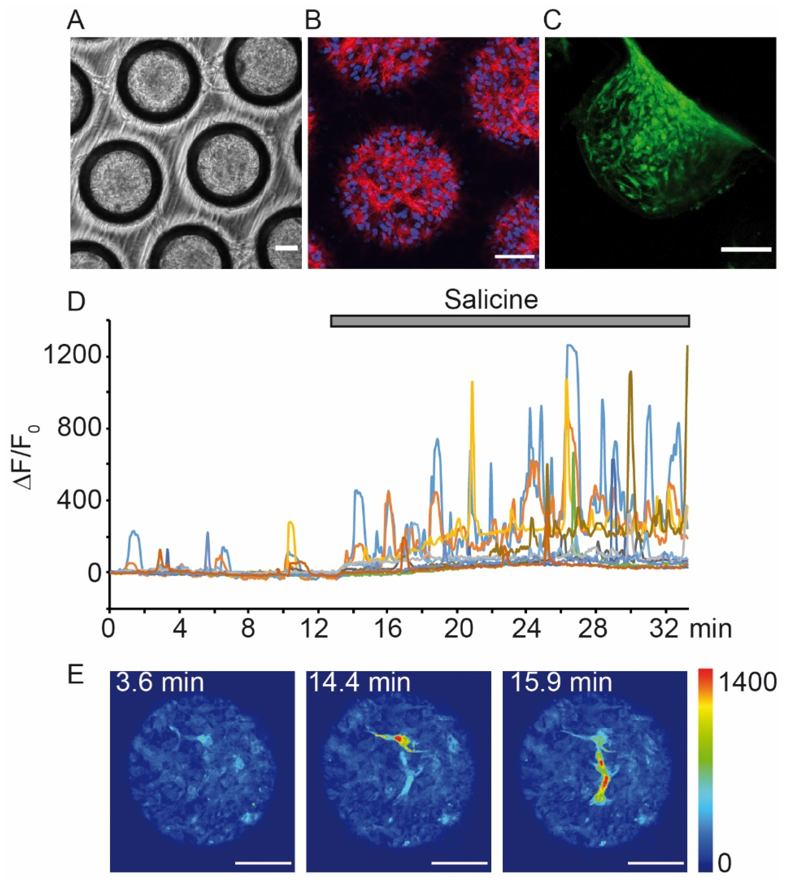 Sensors 20 01811 g004 Sensors 20 01811 g004