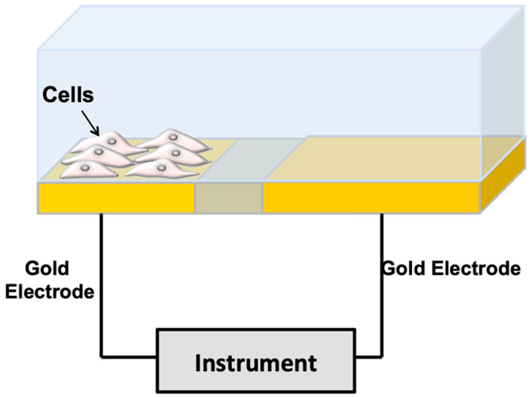 Sensors 20 01812 g001 Sensors 20 01812 g001