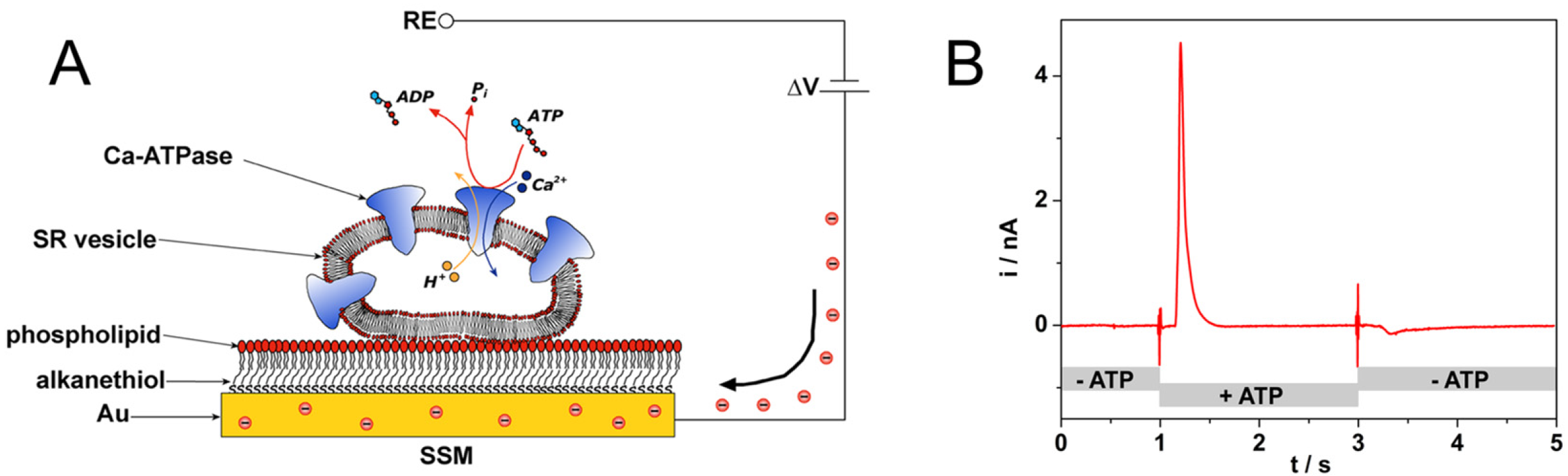 Sensors 20 01812 g003 Sensors 20 01812 g003