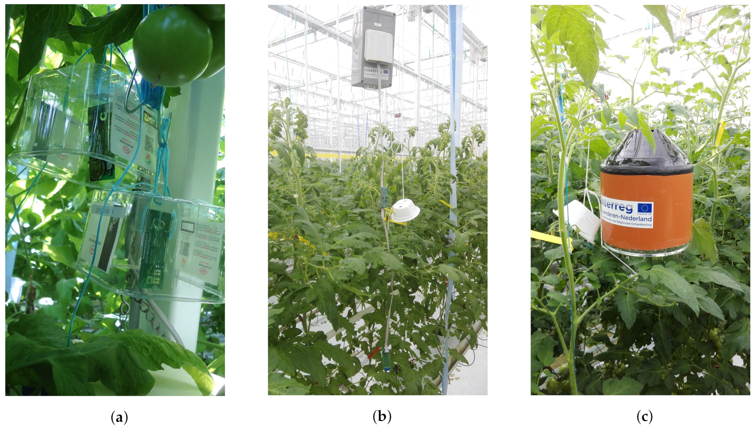 Sensors 20 01827 g004