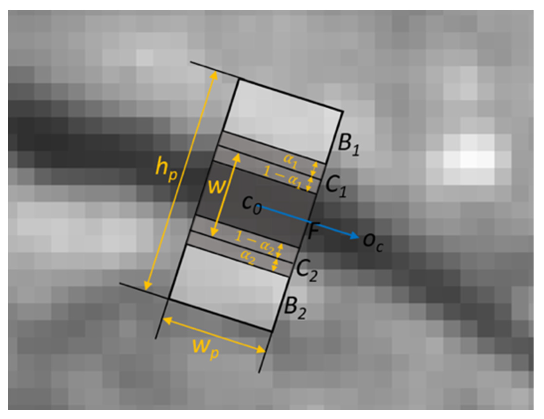 Sensors 20 01838 g010