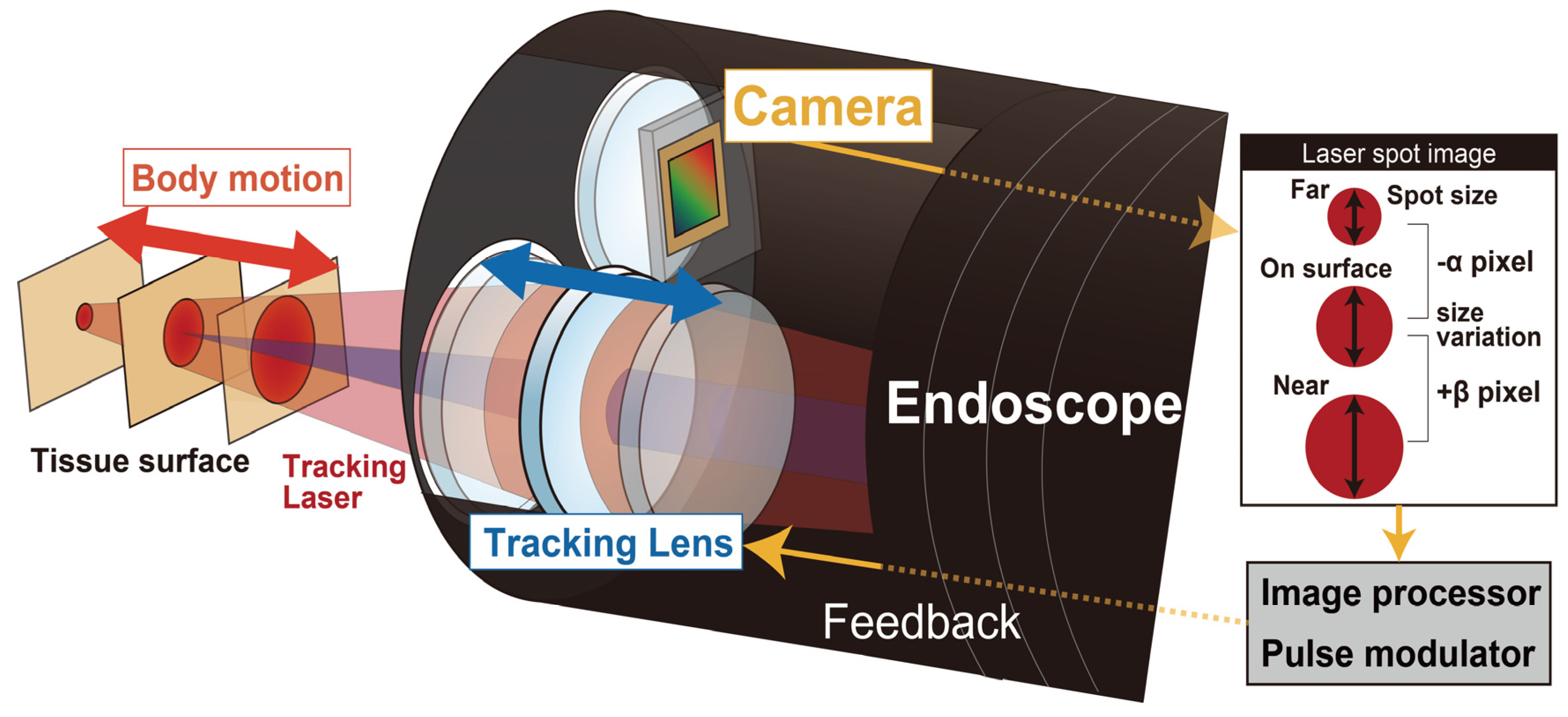 Sensors 20 01847 g001 Sensors 20 01847 g001