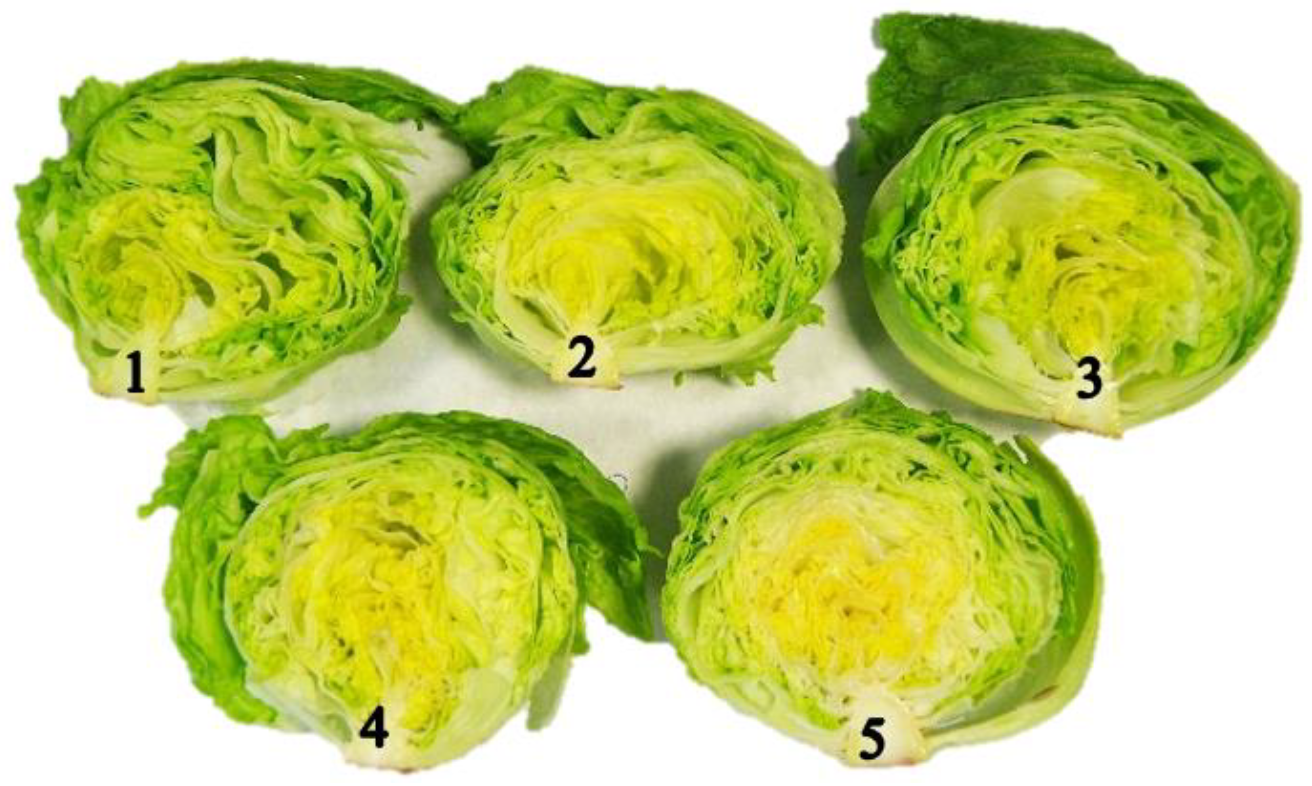 Sensors 20 01860 g004