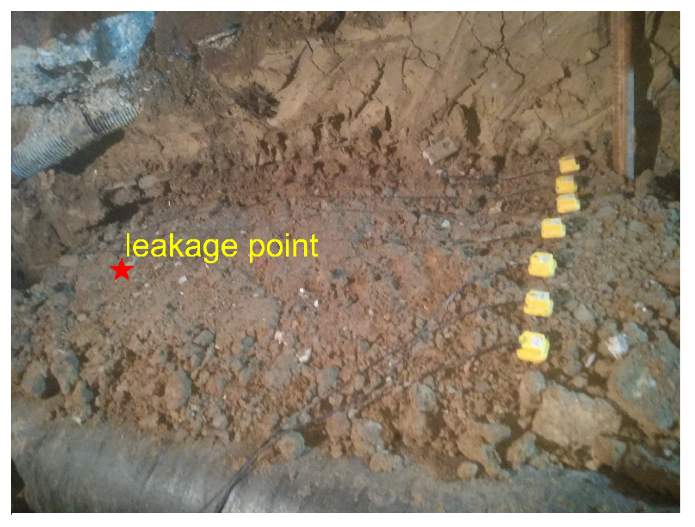 Sensors 20 01896 g005