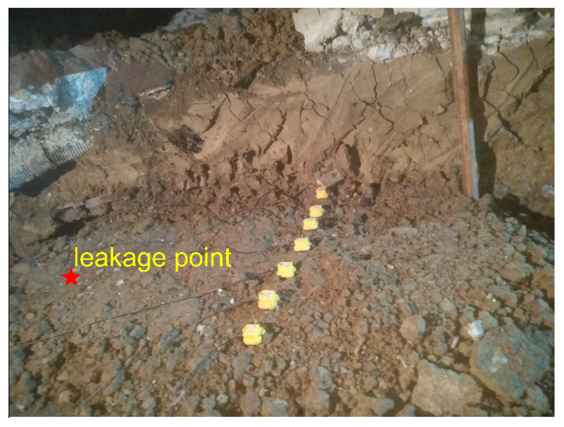 Sensors 20 01896 g006