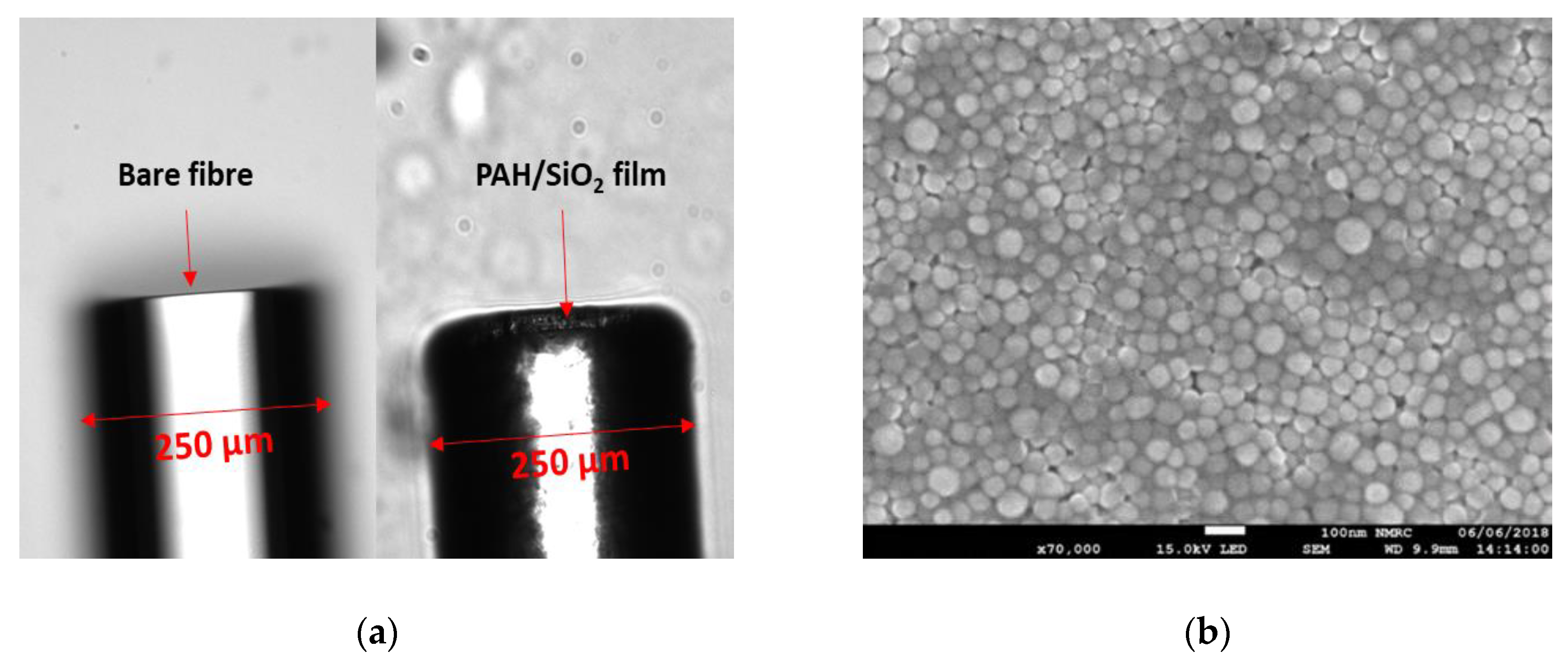 Sensors 20 01904 g003
