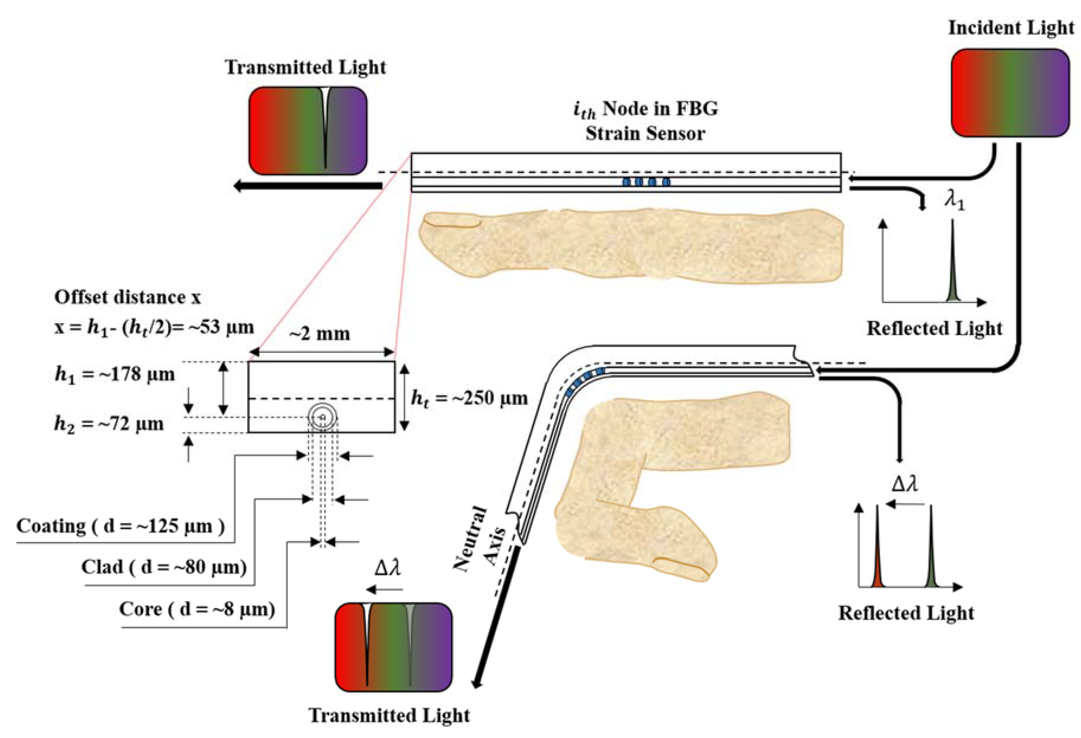 Sensors 20 01921 g001 Sensors 20 01921 g001