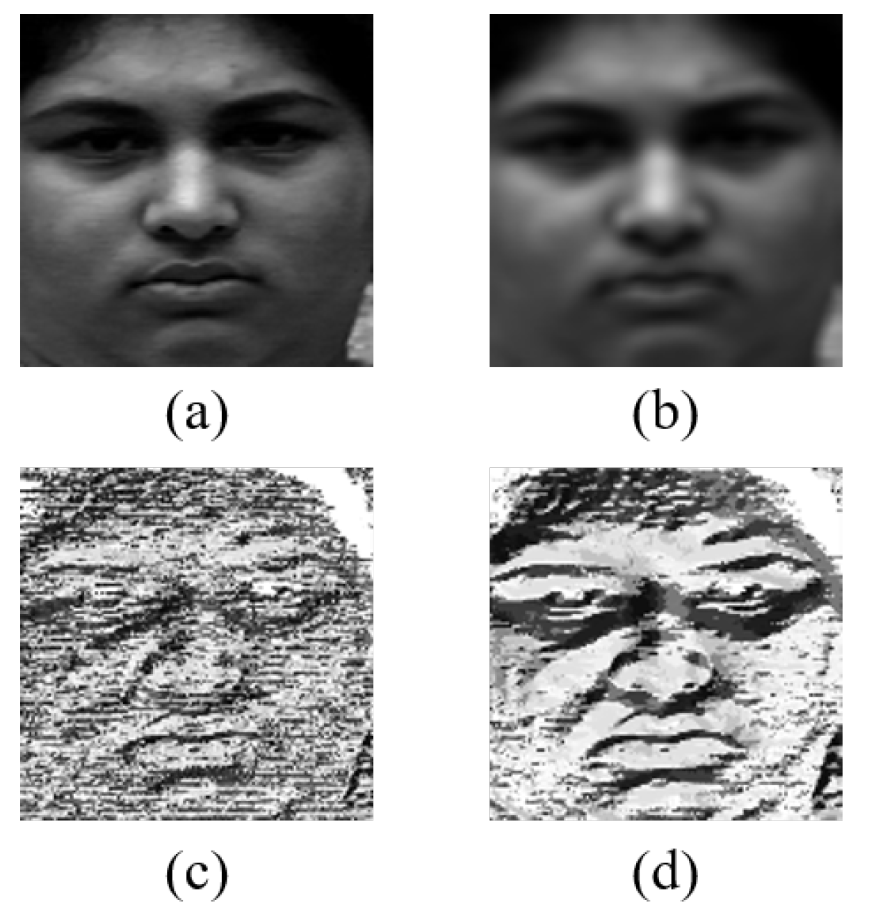 Sensors 20 01936 g004