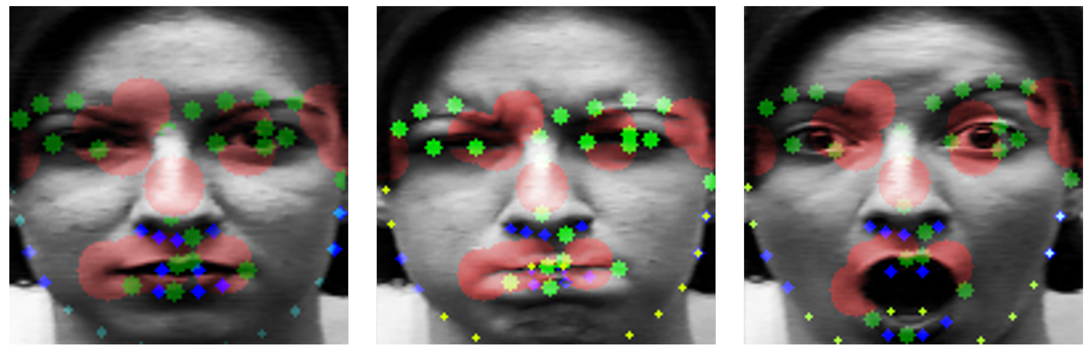 Sensors 20 01936 g007