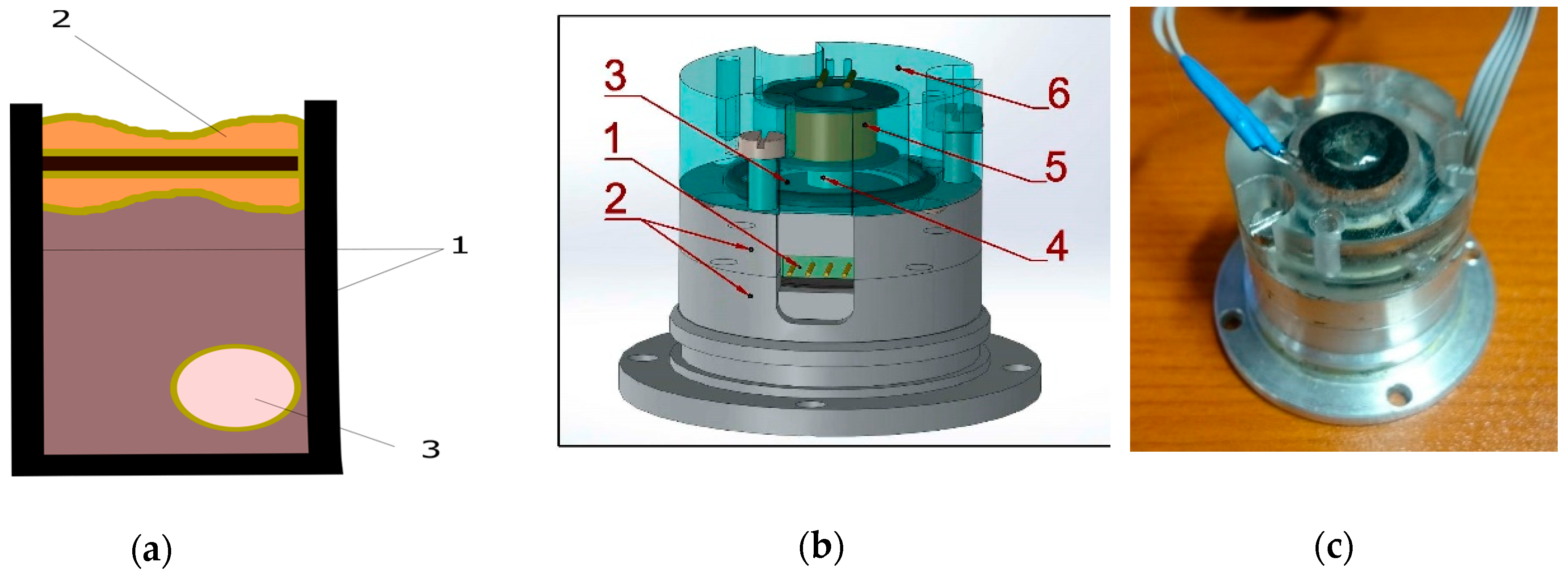 Sensors 20 01944 g001 Sensors 20 01944 g001