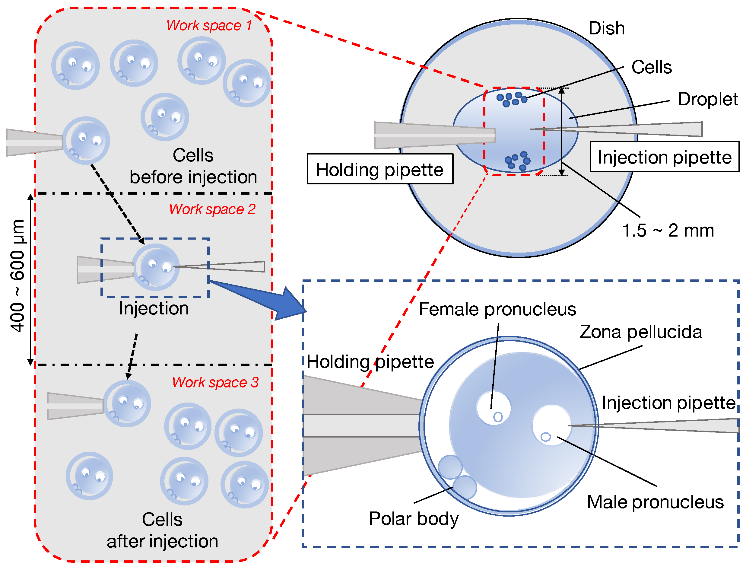Sensors 20 01967 g001