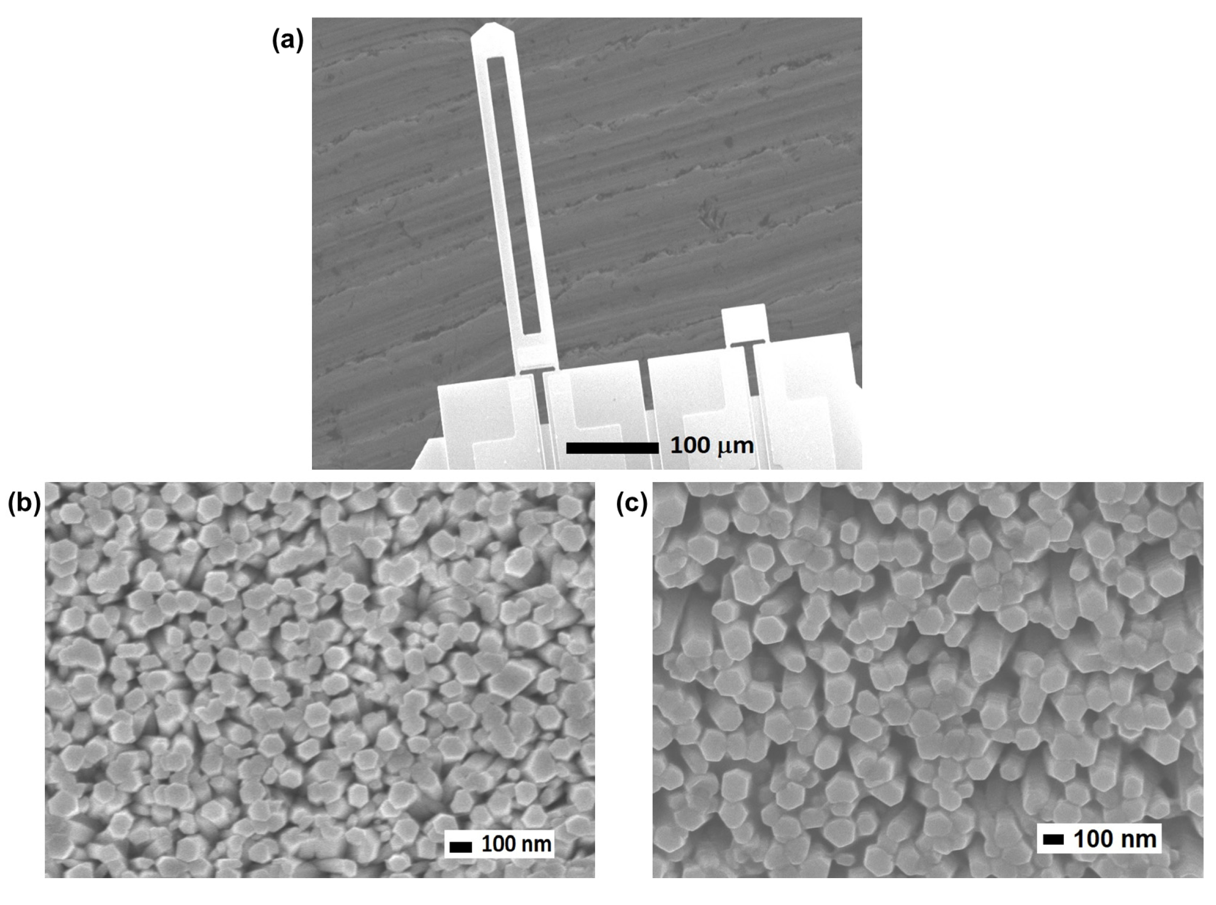 Sensors 20 02013 g003