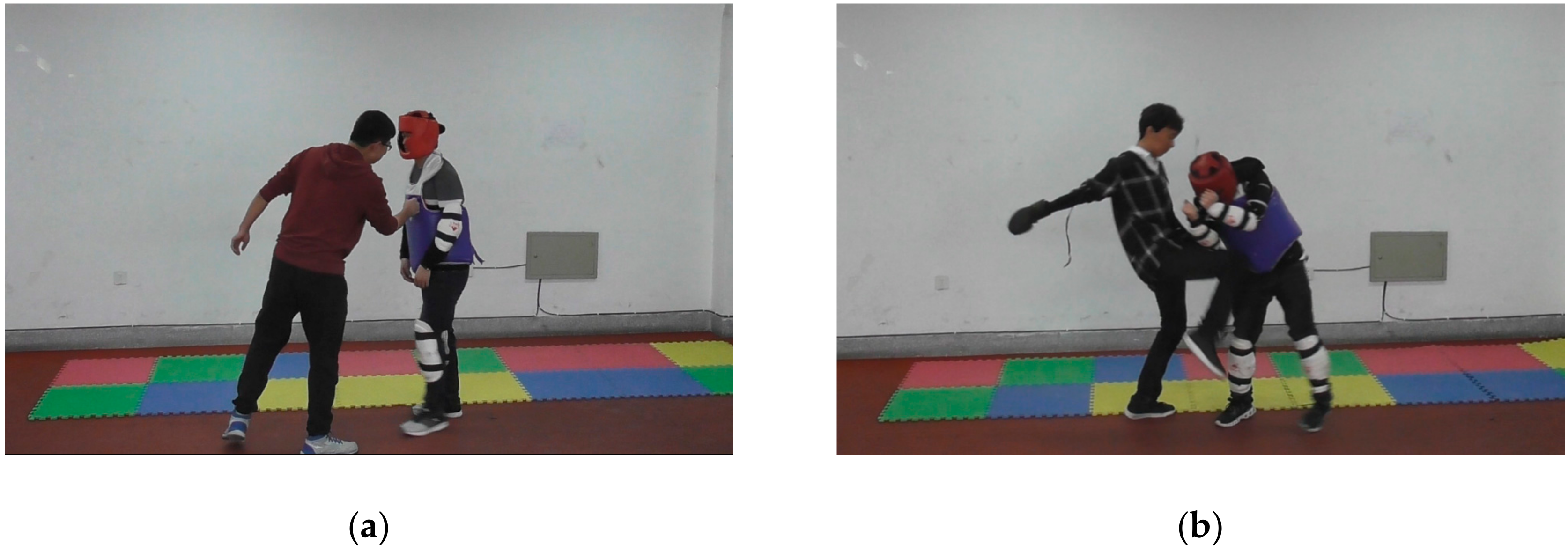 Sensors 20 02018 g003a