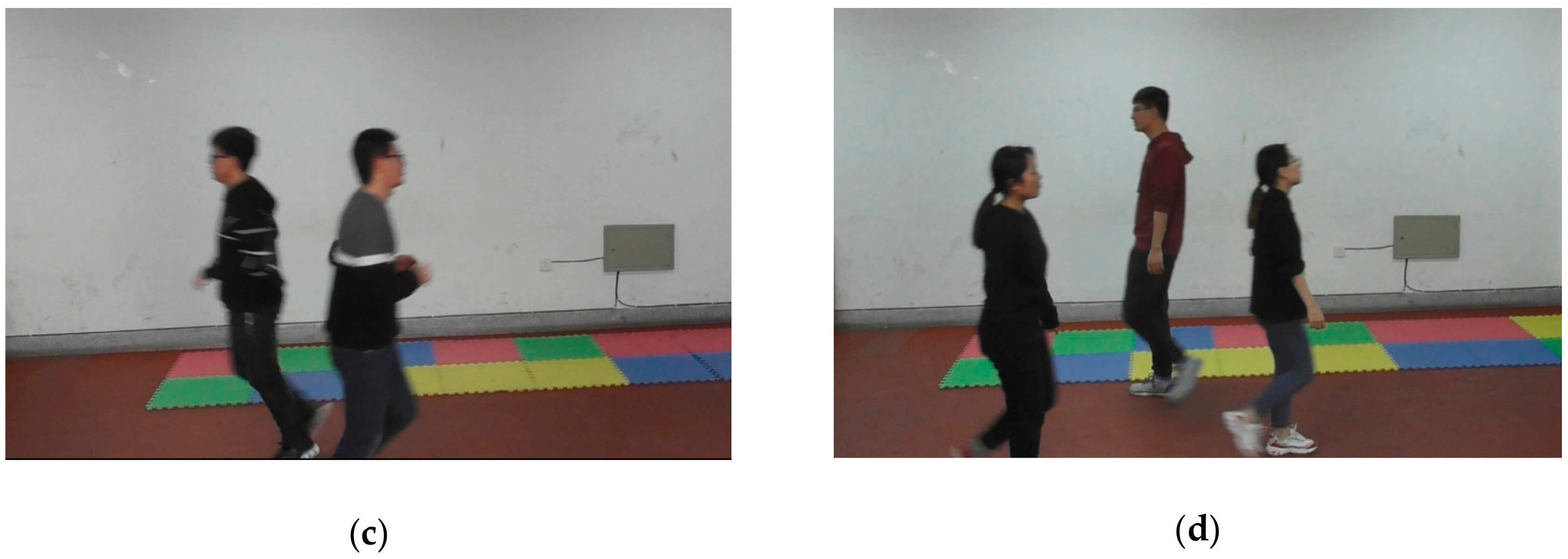 Sensors 20 02018 g003b