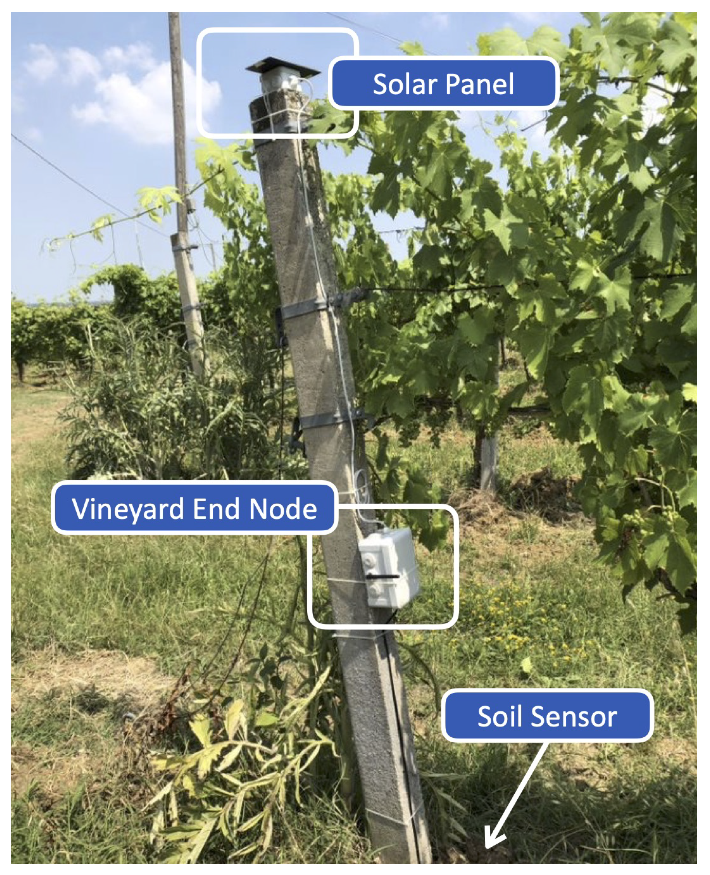 Sensors 20 02028 g007