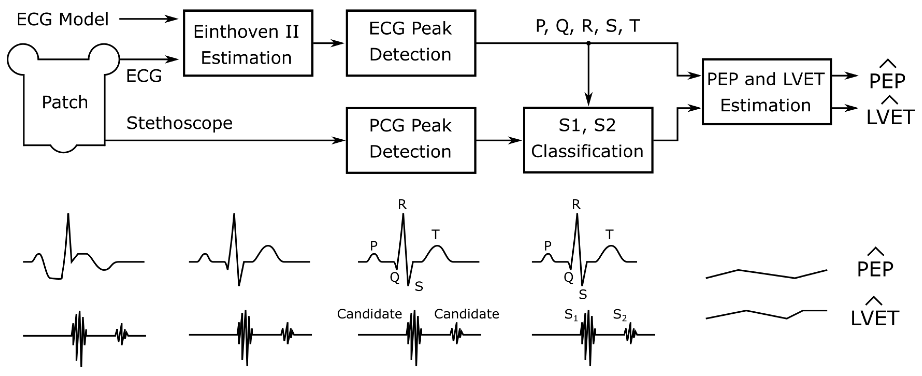 Sensors 20 02033 g006