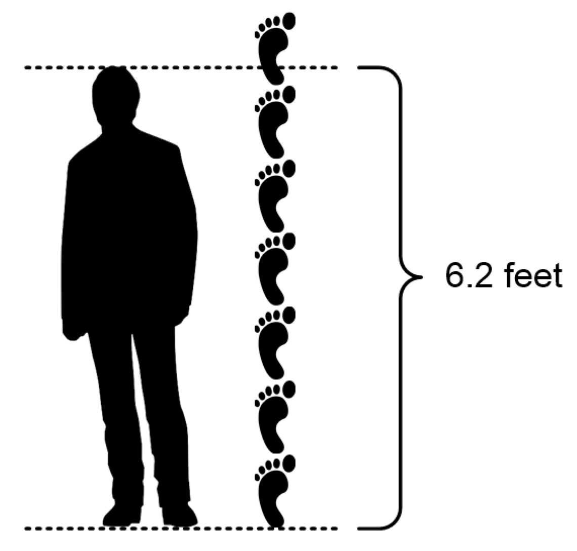 Sensors 20 02053 g001