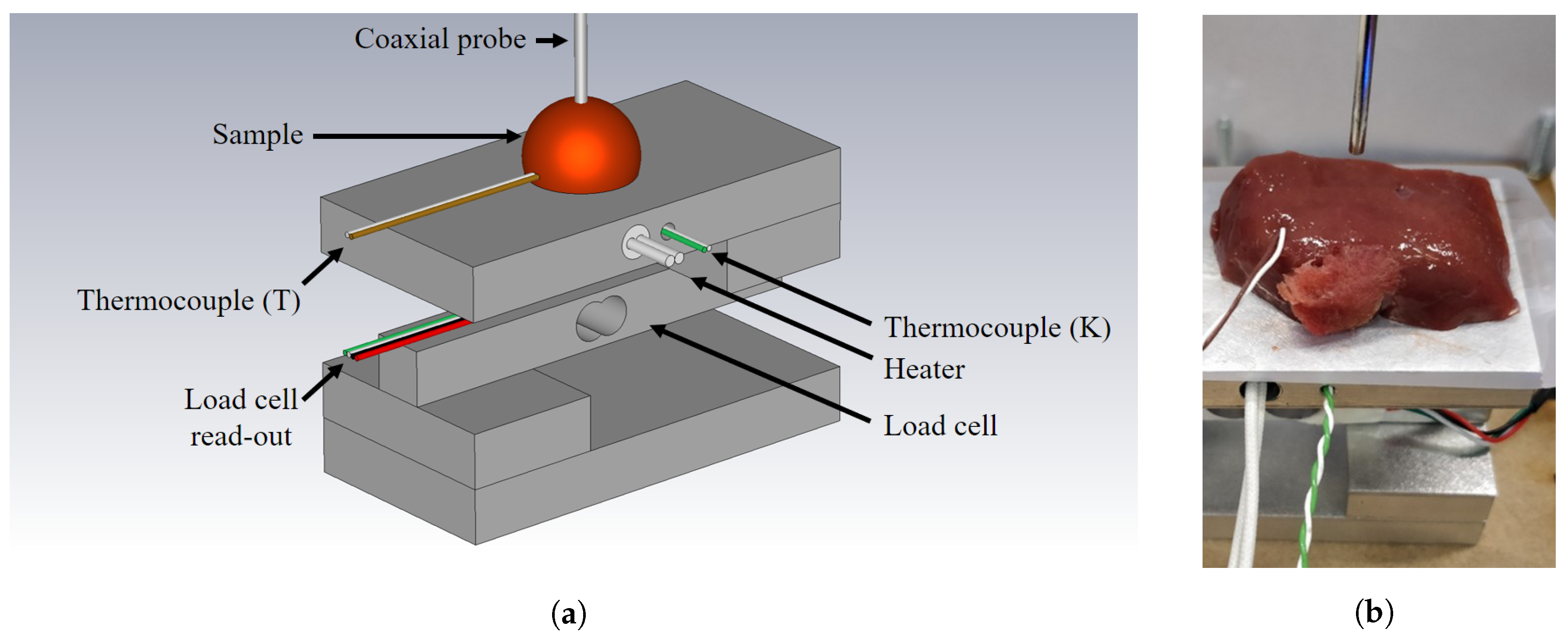Sensors Free FullText Effect of OpenEnded Coaxial ProbetoTissue