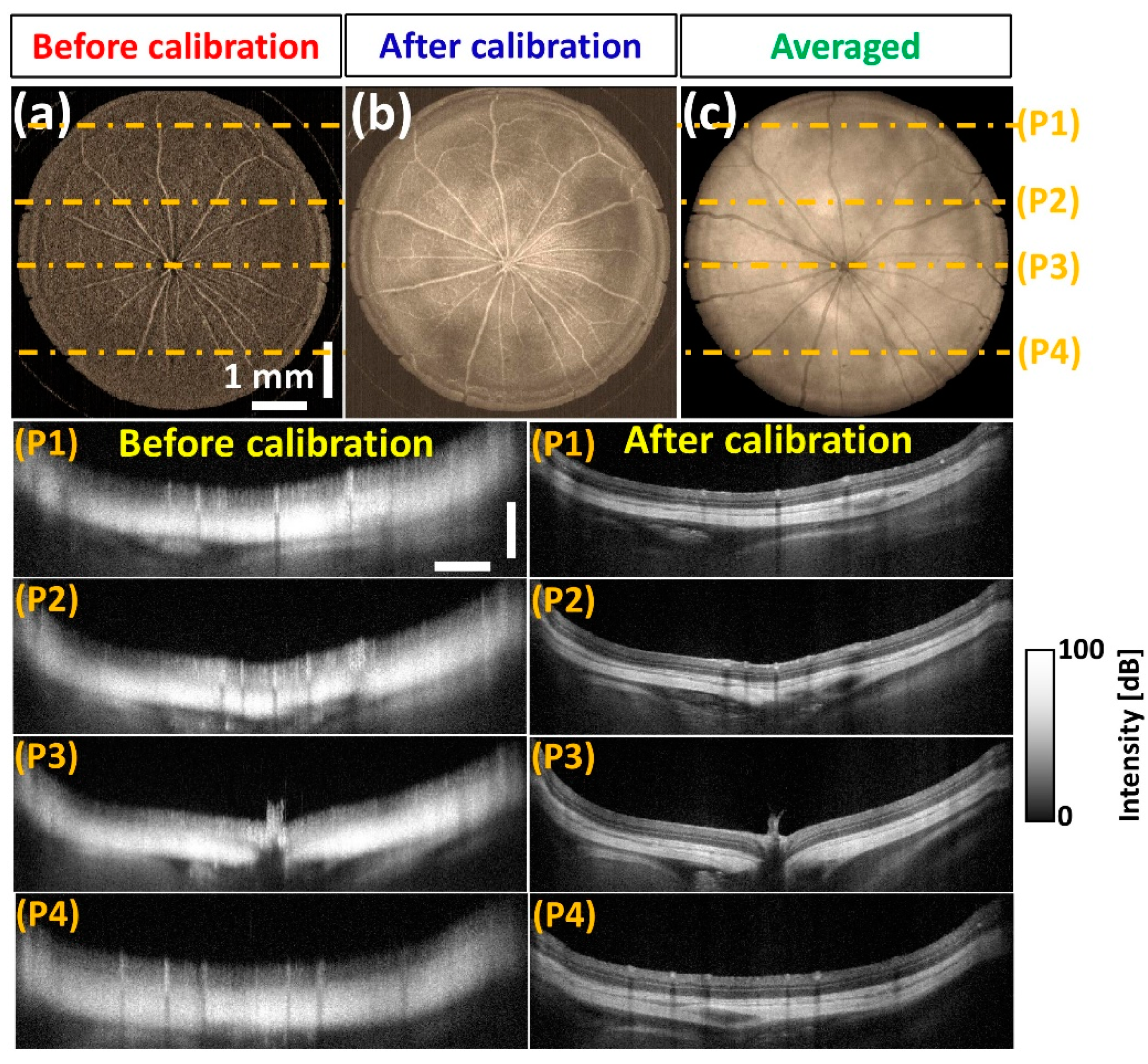 Sensors 20 02067 g010 Sensors 20 02067 g010