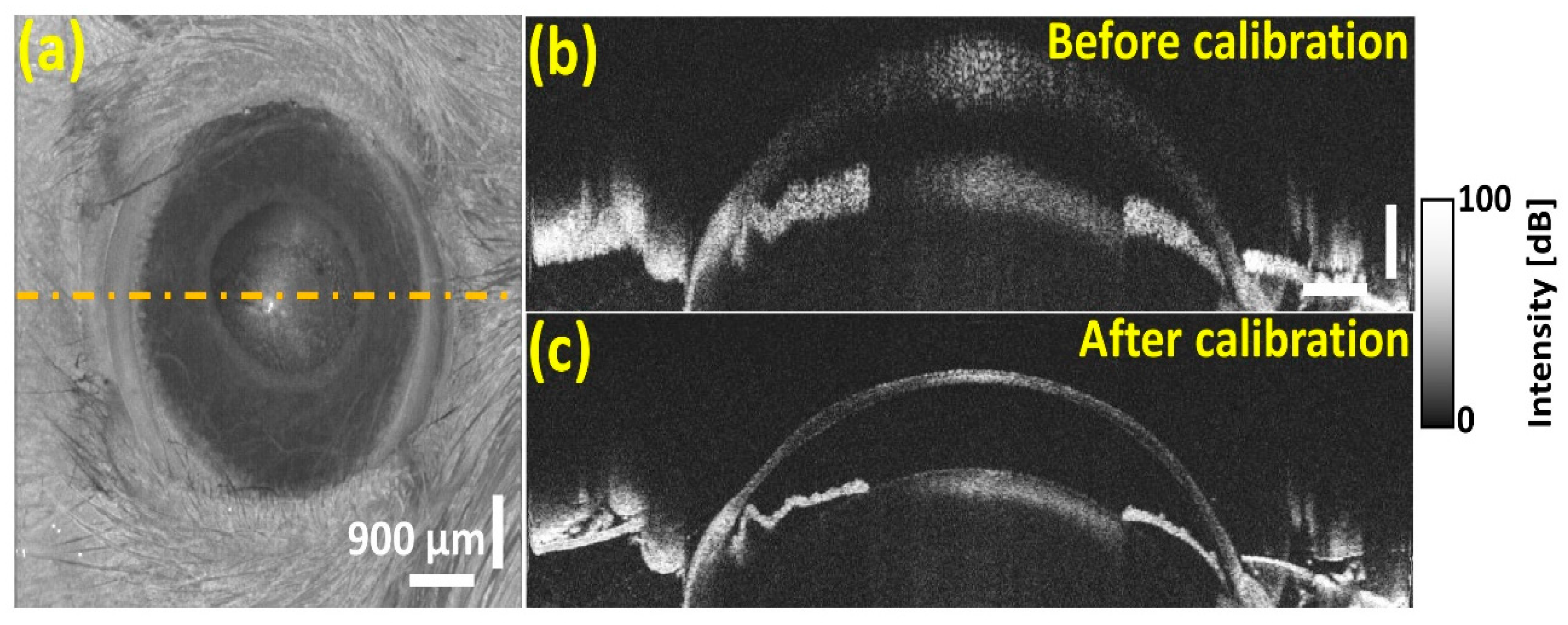 Sensors 20 02067 g011 Sensors 20 02067 g011