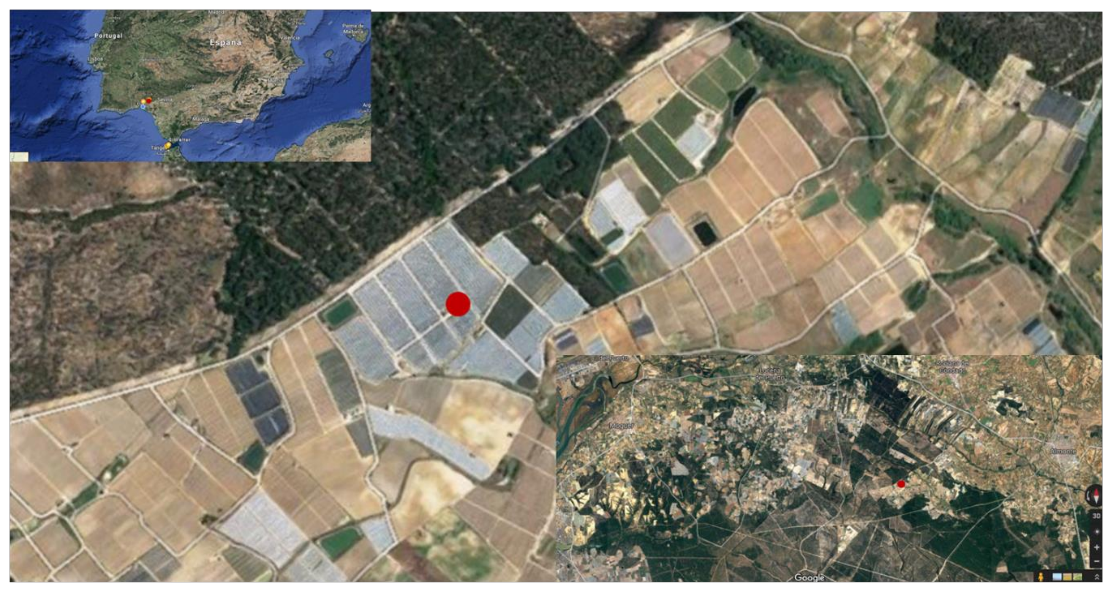 Sensors 20 02078 g006