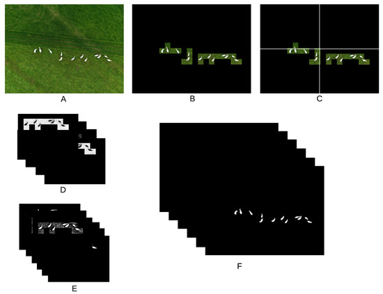 Sensors | Free Full-Text | Counting Cattle in UAV Images—Dealing with ...