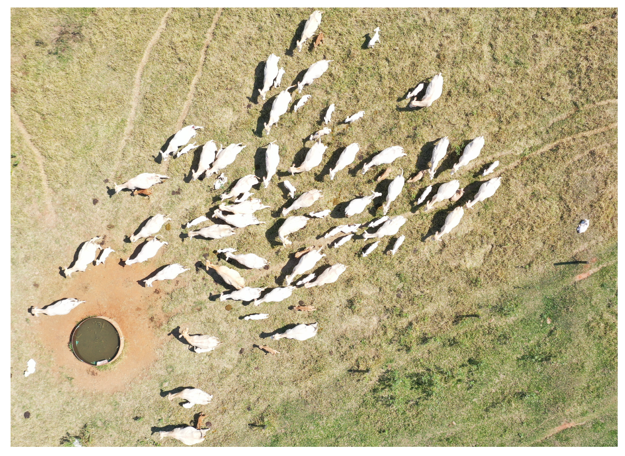 Sensors 20 02126 g005