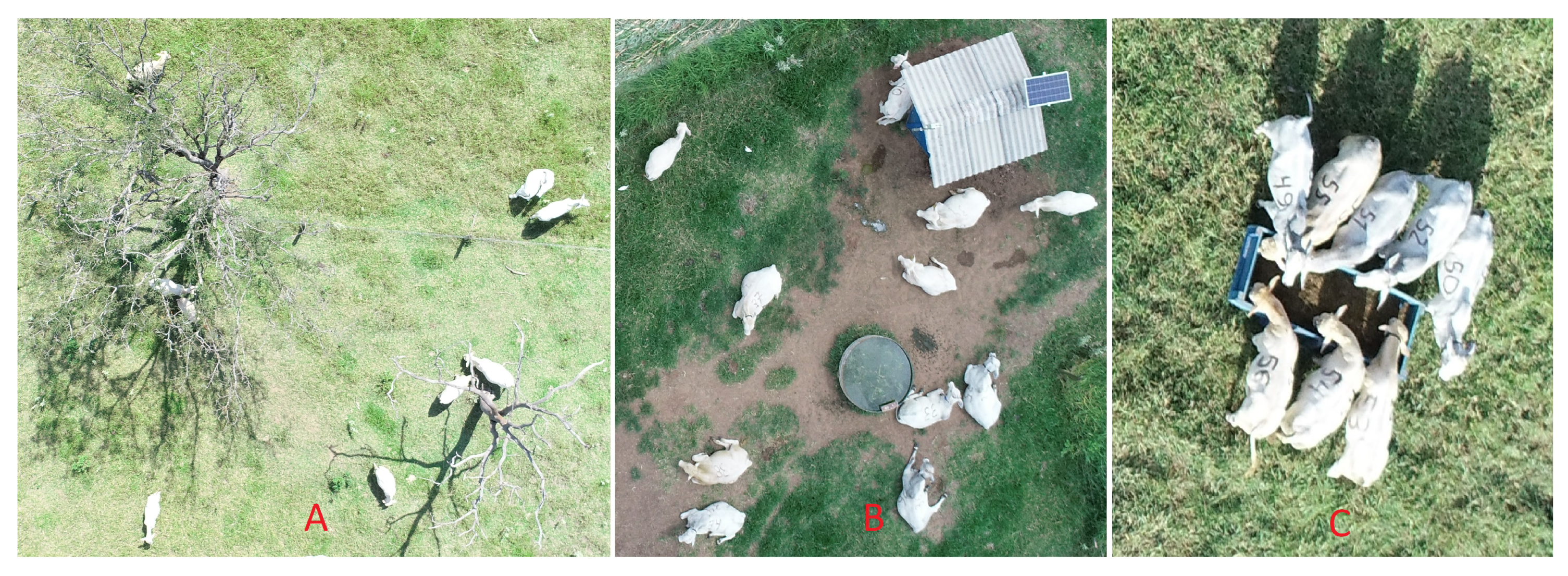 Sensors 20 02126 g006