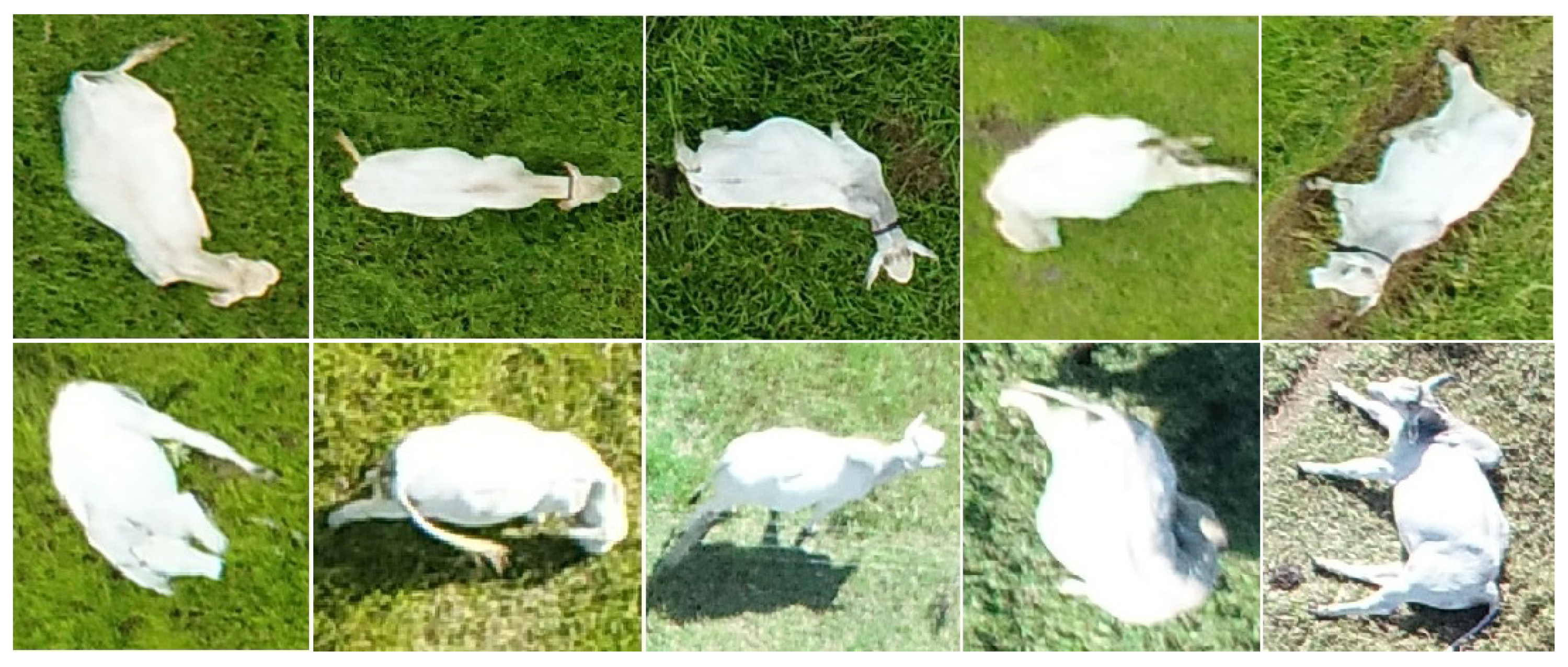 Sensors 20 02126 g007