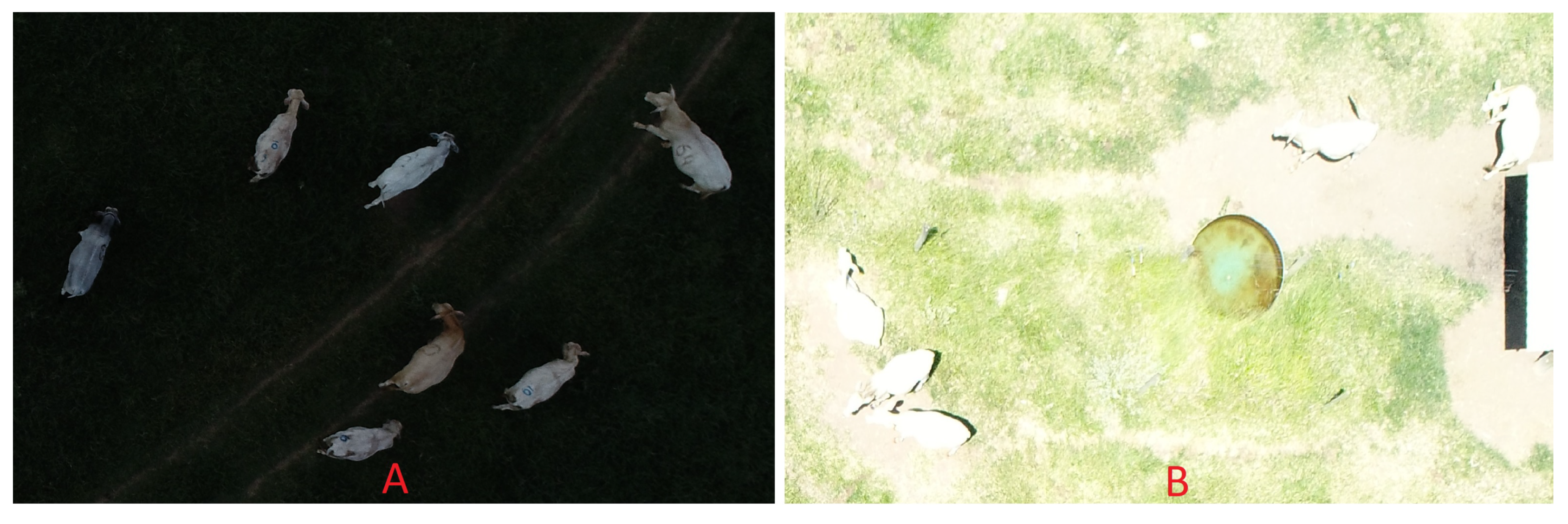 Sensors 20 02126 g008