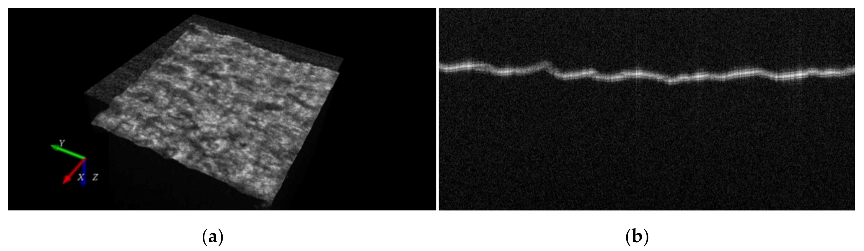 Sensors 20 02128 g006