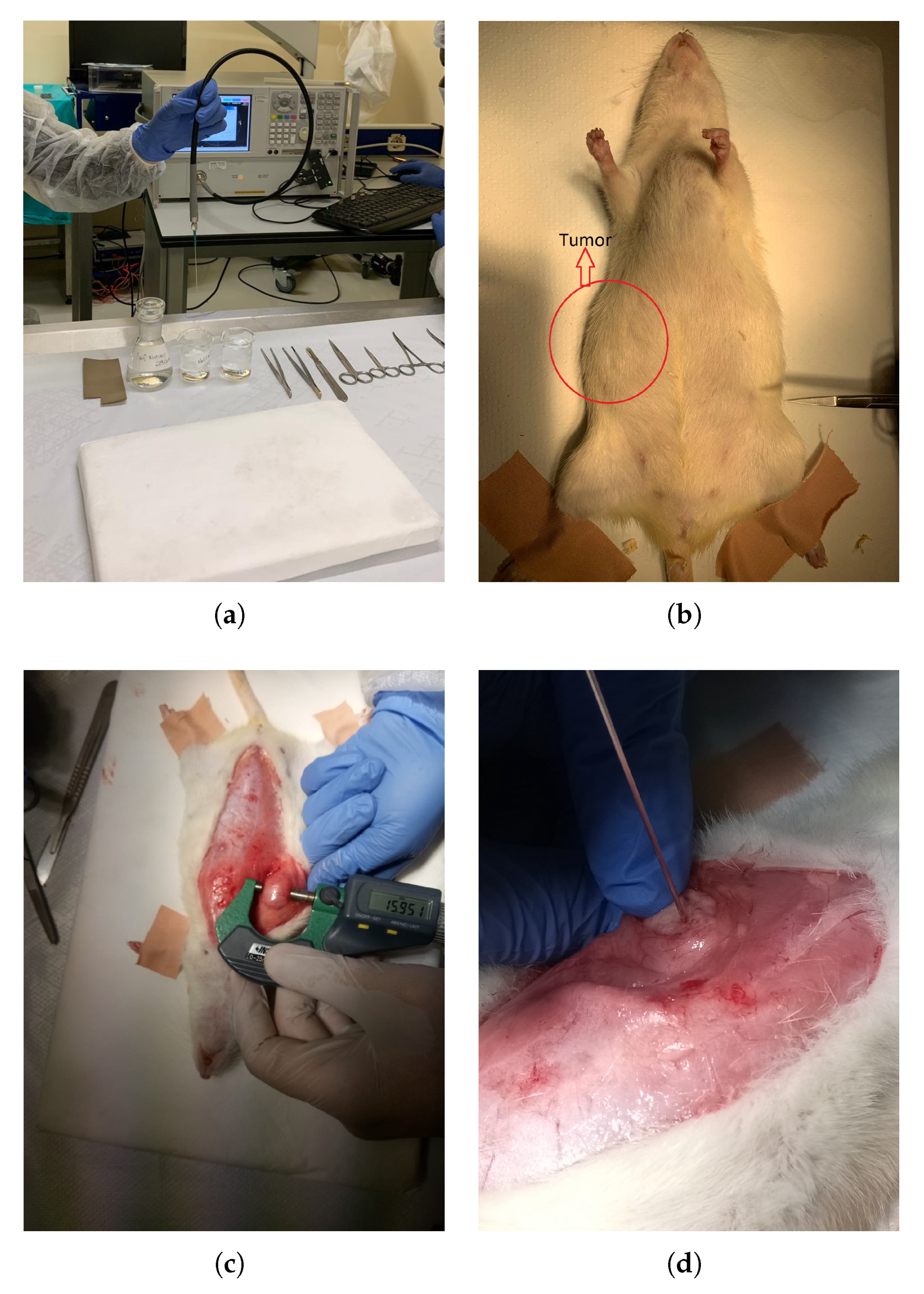 Sensors 20 02214 g001 Sensors 20 02214 g001