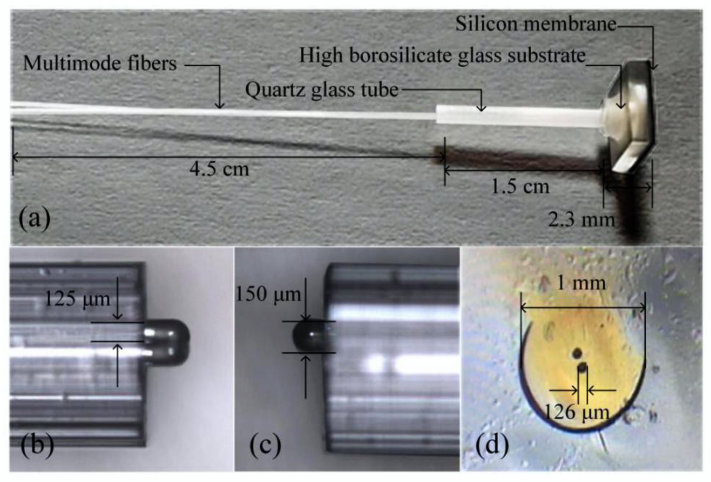 Sensors 20 02233 g004 Sensors 20 02233 g004