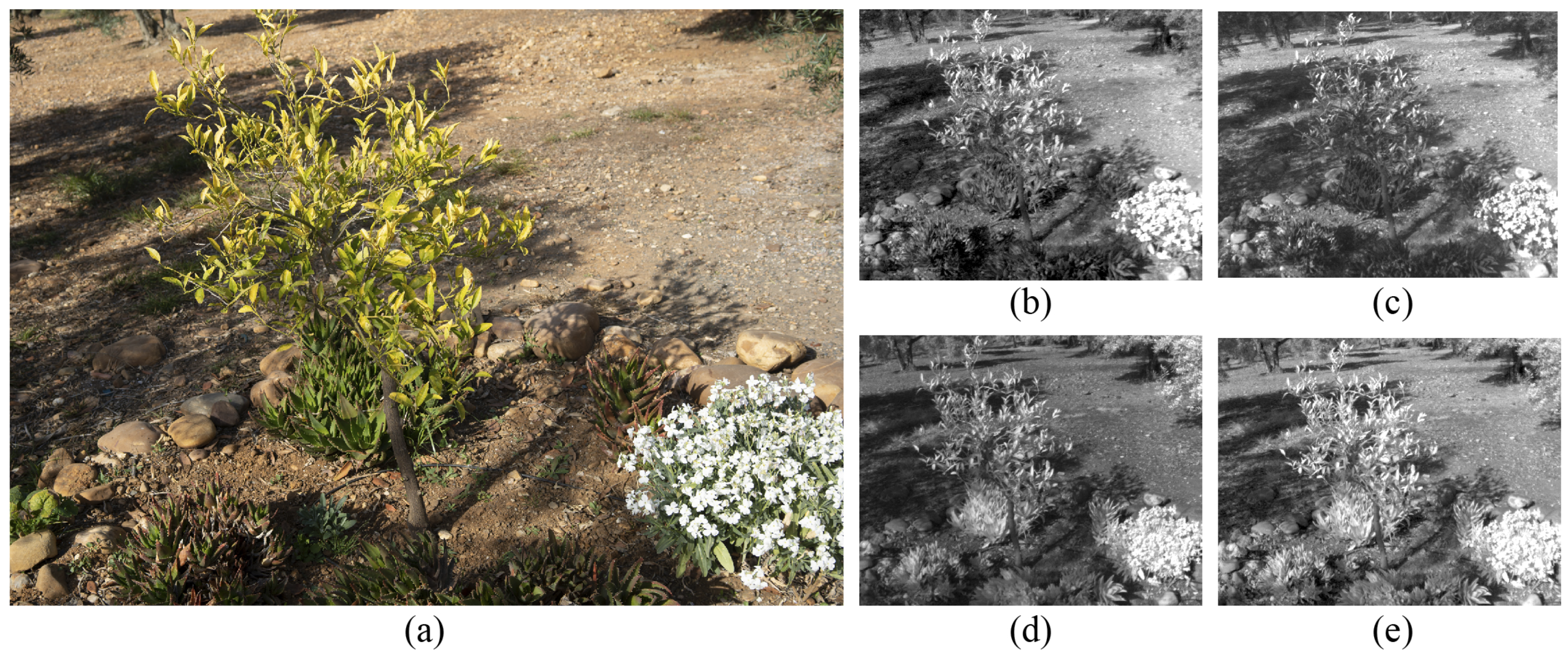 Sensors 20 02244 g002