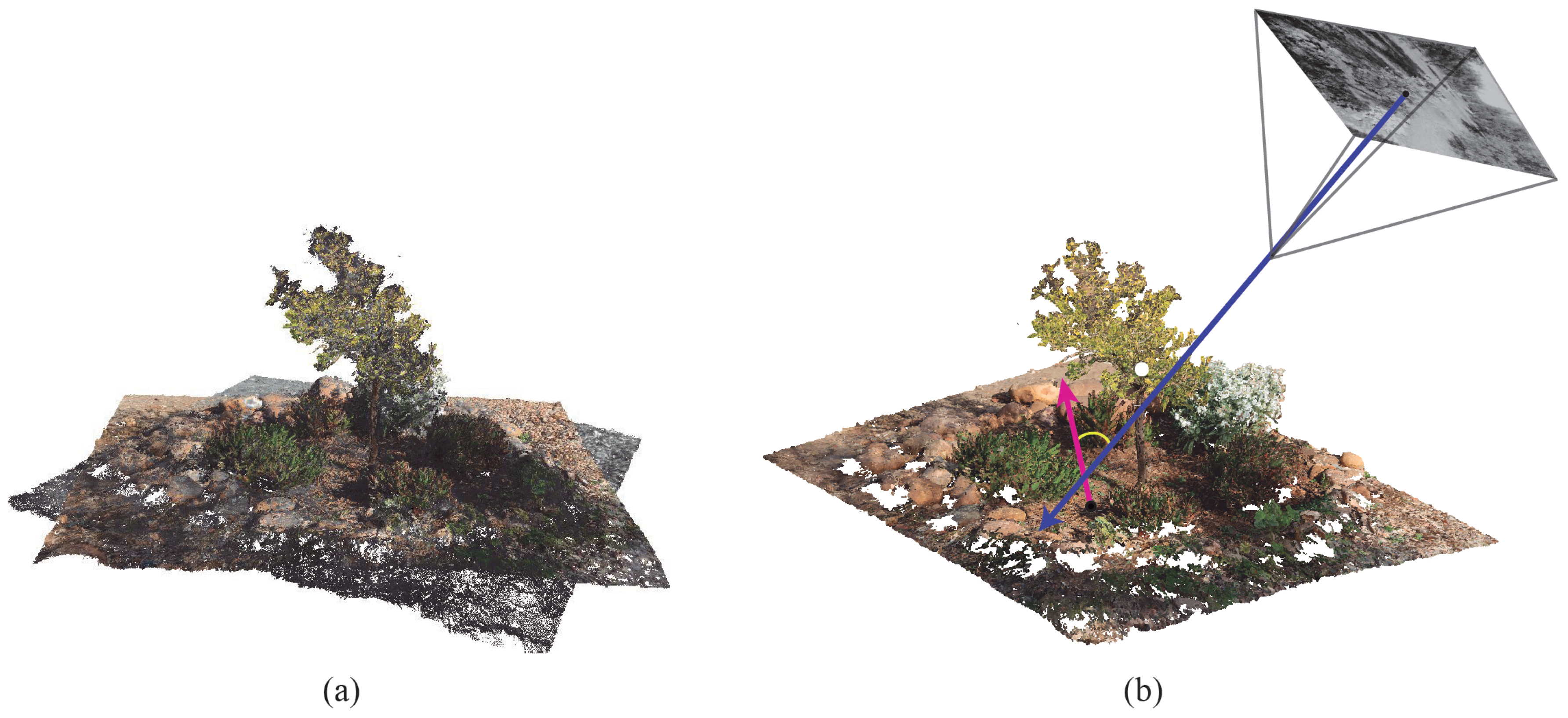 Sensors 20 02244 g004