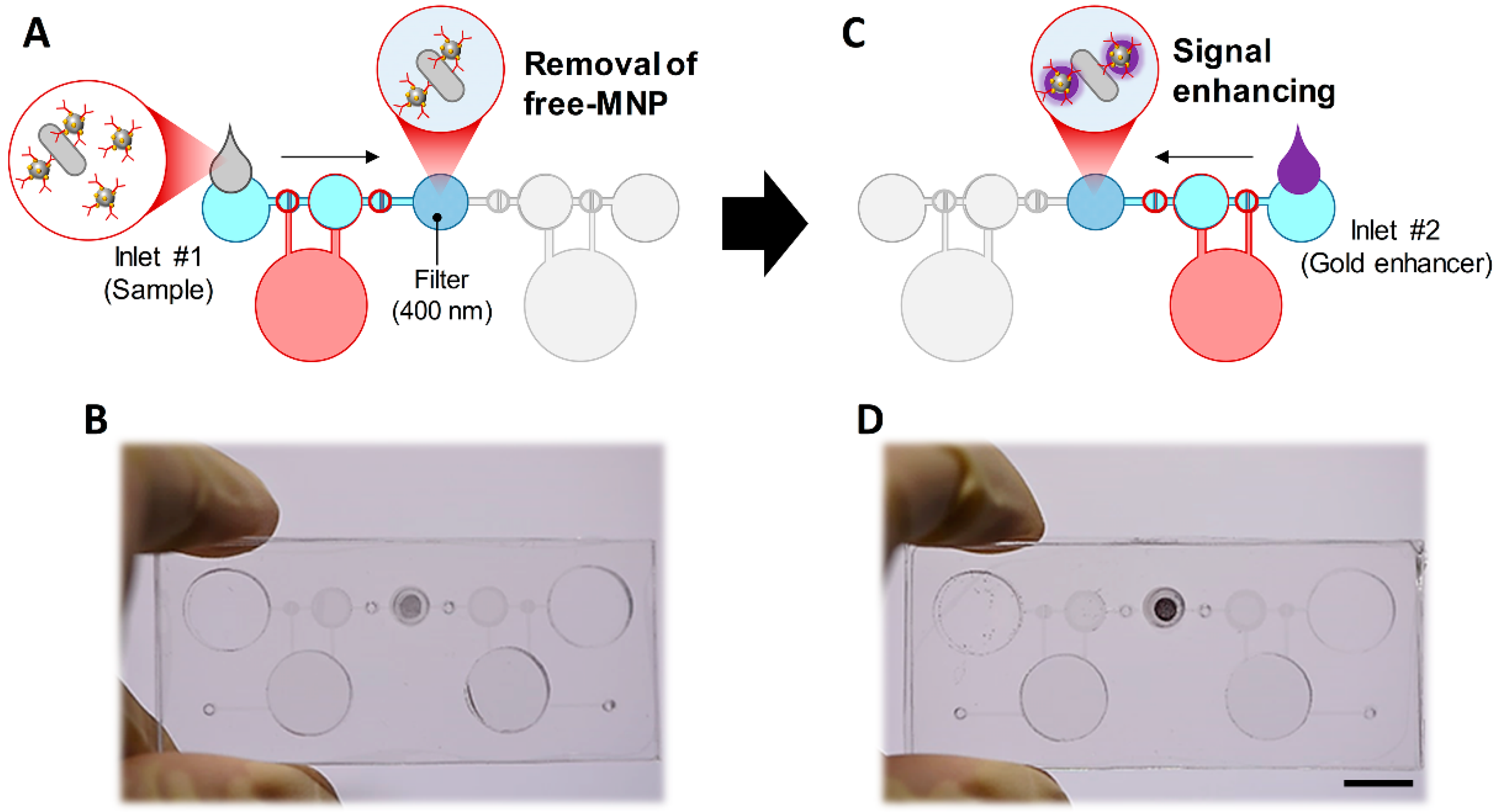 Sensors 20 02267 g002 Sensors 20 02267 g002
